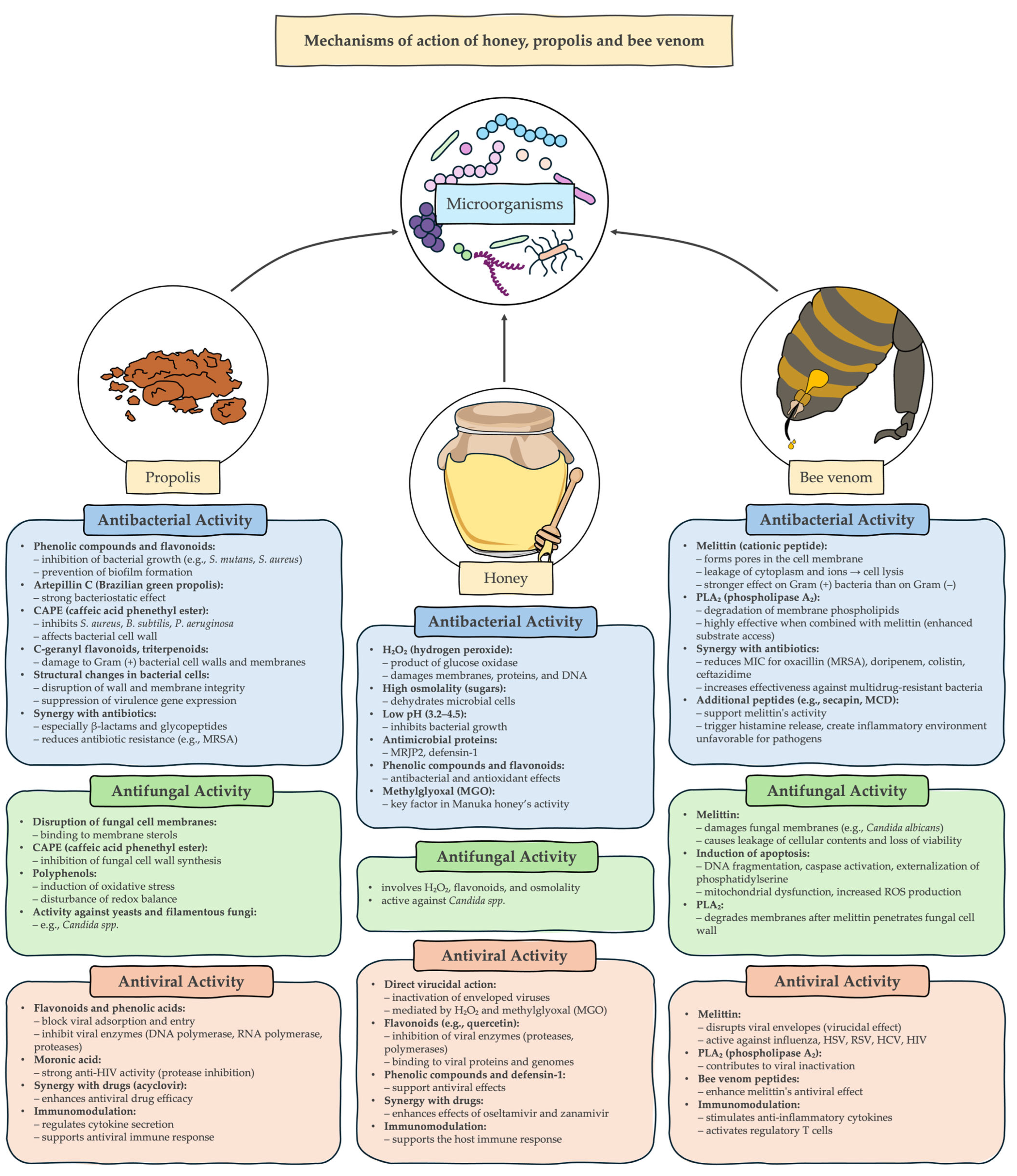 Pathogens 14 00780 g001