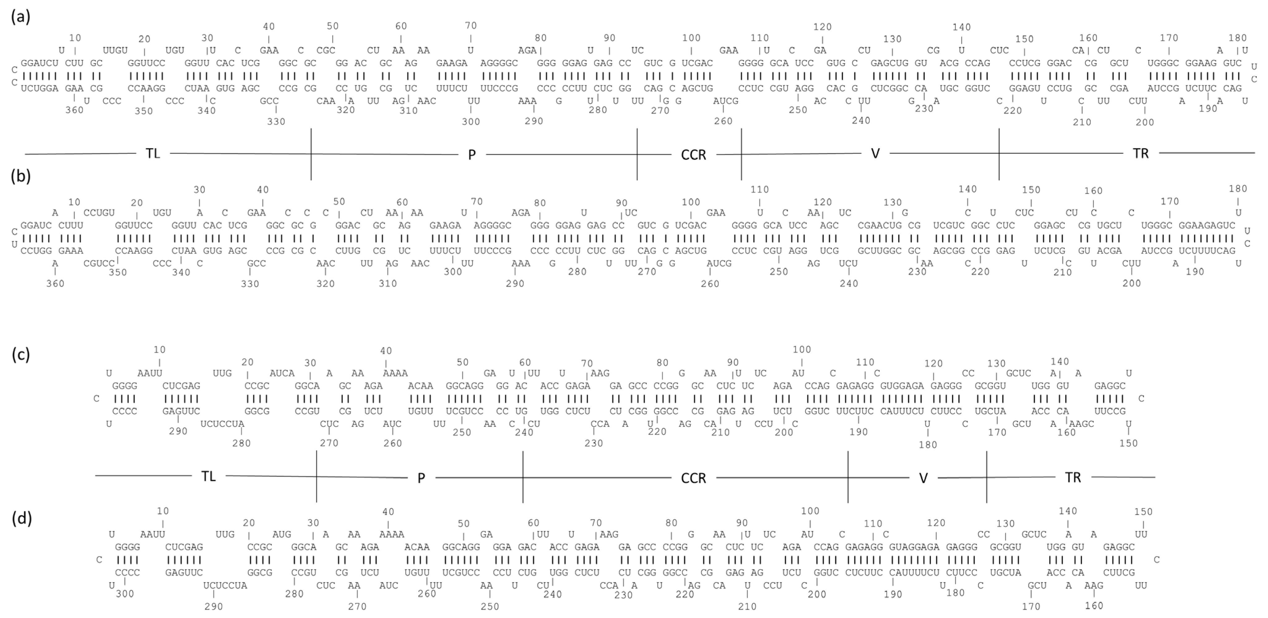 Pathogens 14 00782 g002 Pathogens 14 00782 g002