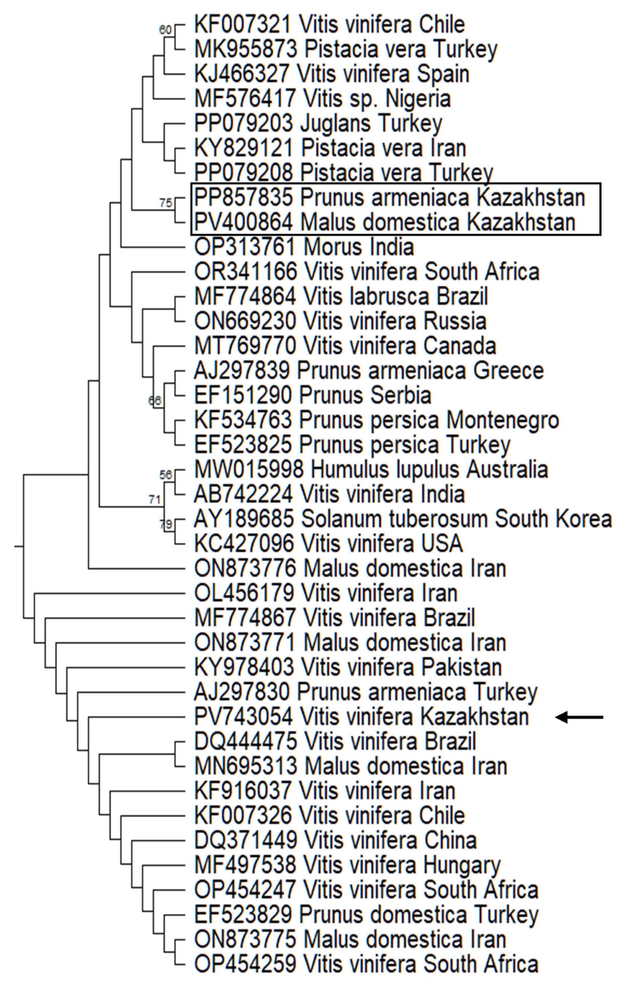 Pathogens 14 00782 g004 Pathogens 14 00782 g004