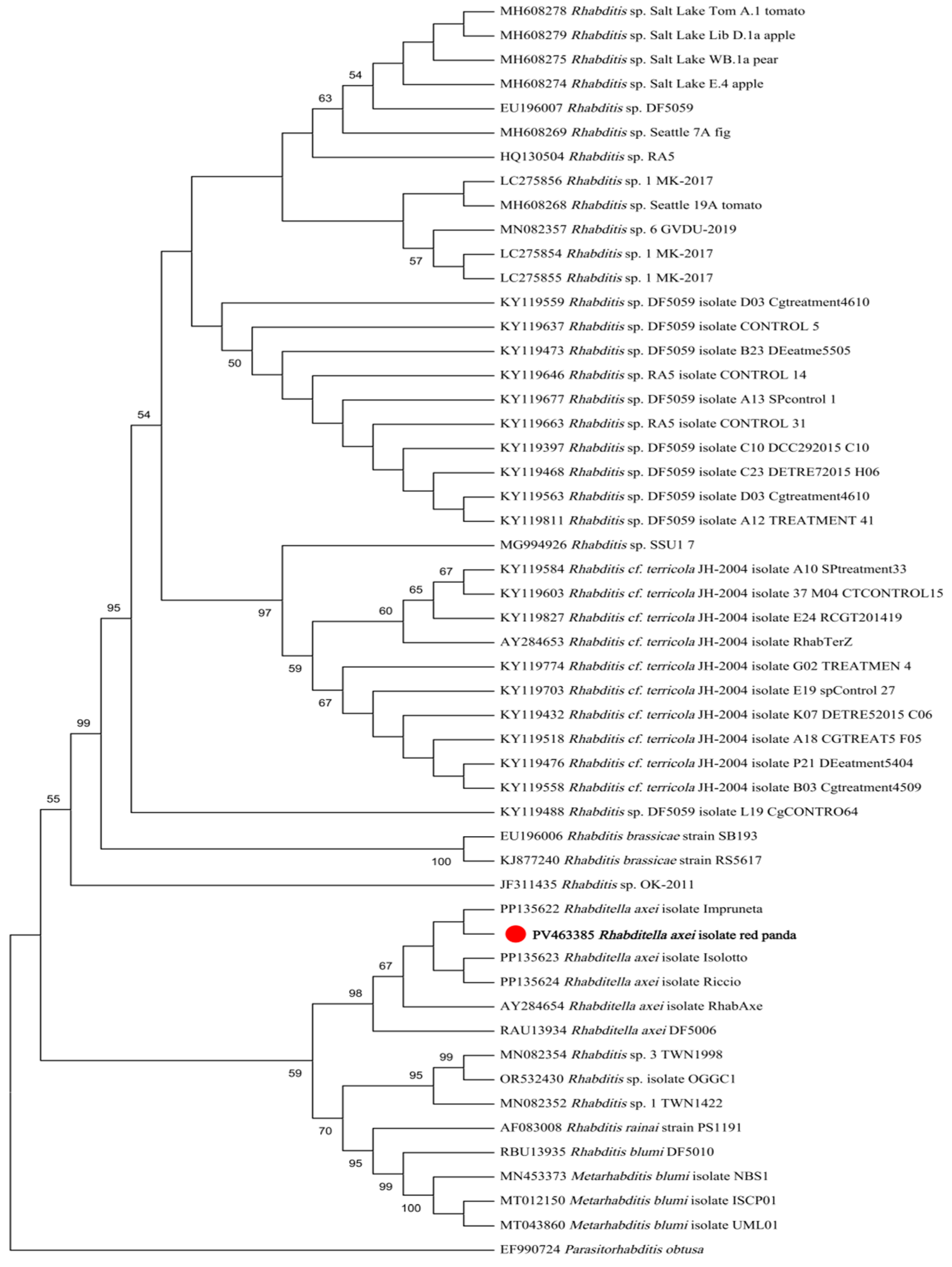 Pathogens 14 00783 g003 Pathogens 14 00783 g003