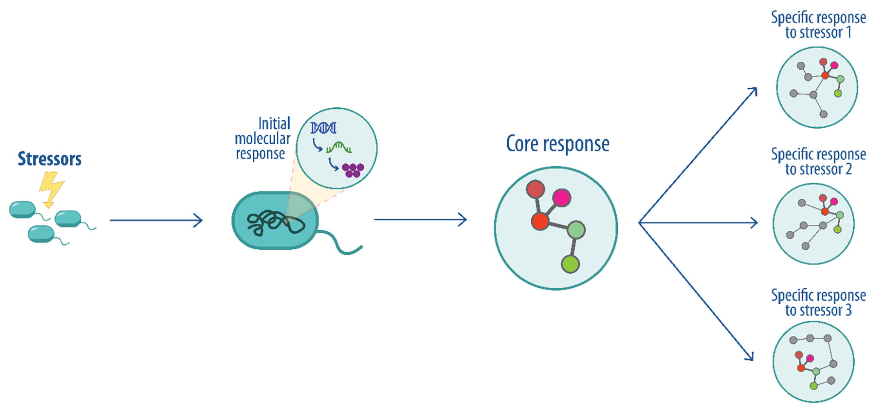 Pathogens 14 00788 g001 Pathogens 14 00788 g001
