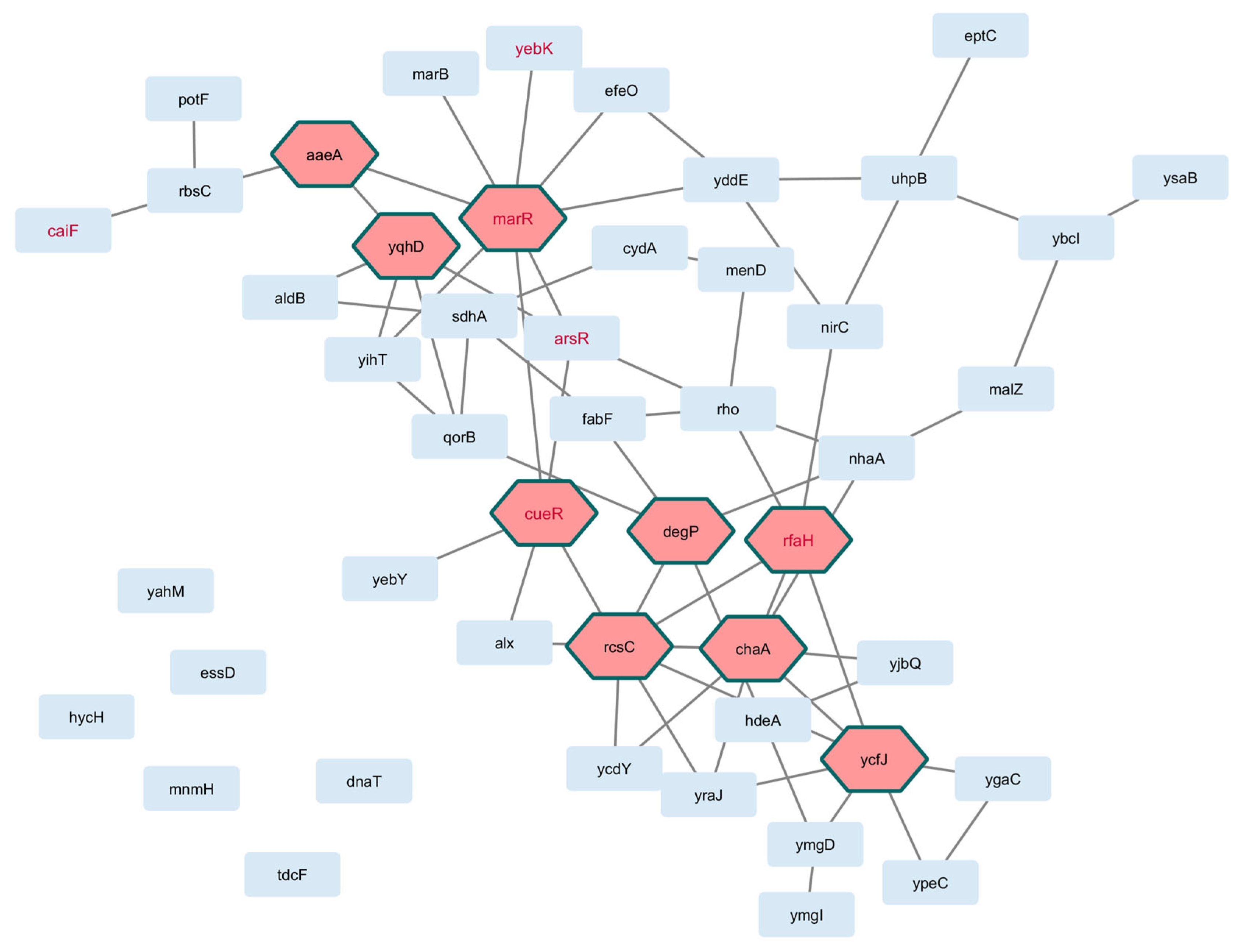 Pathogens 14 00788 g003 Pathogens 14 00788 g003