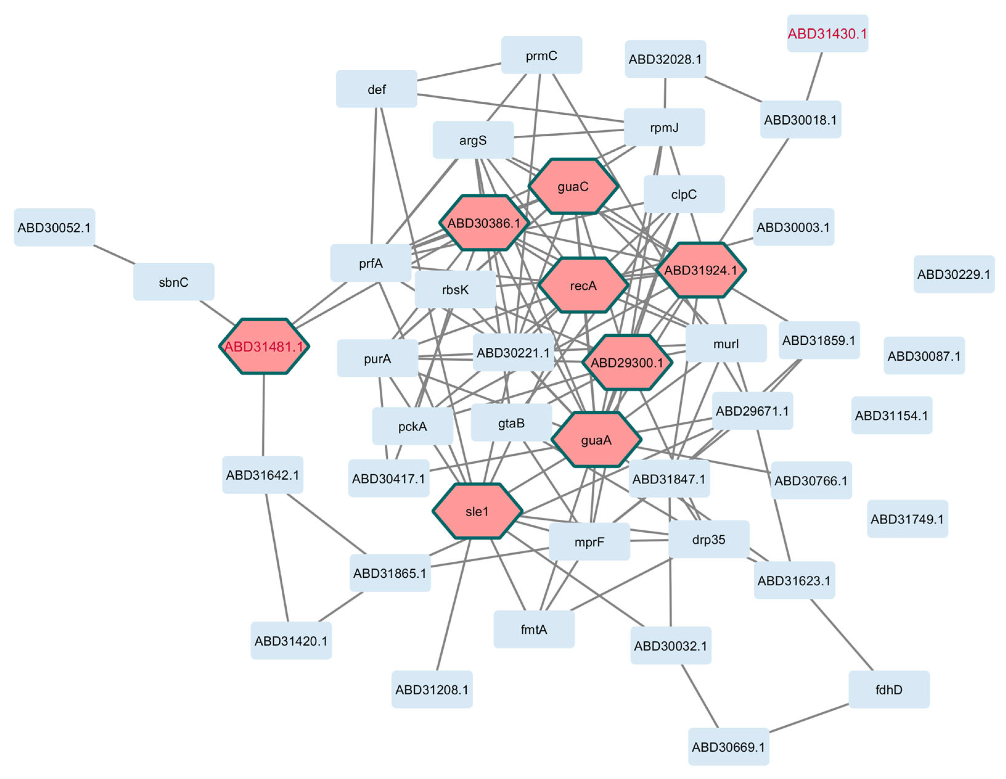 Pathogens 14 00788 g004 Pathogens 14 00788 g004