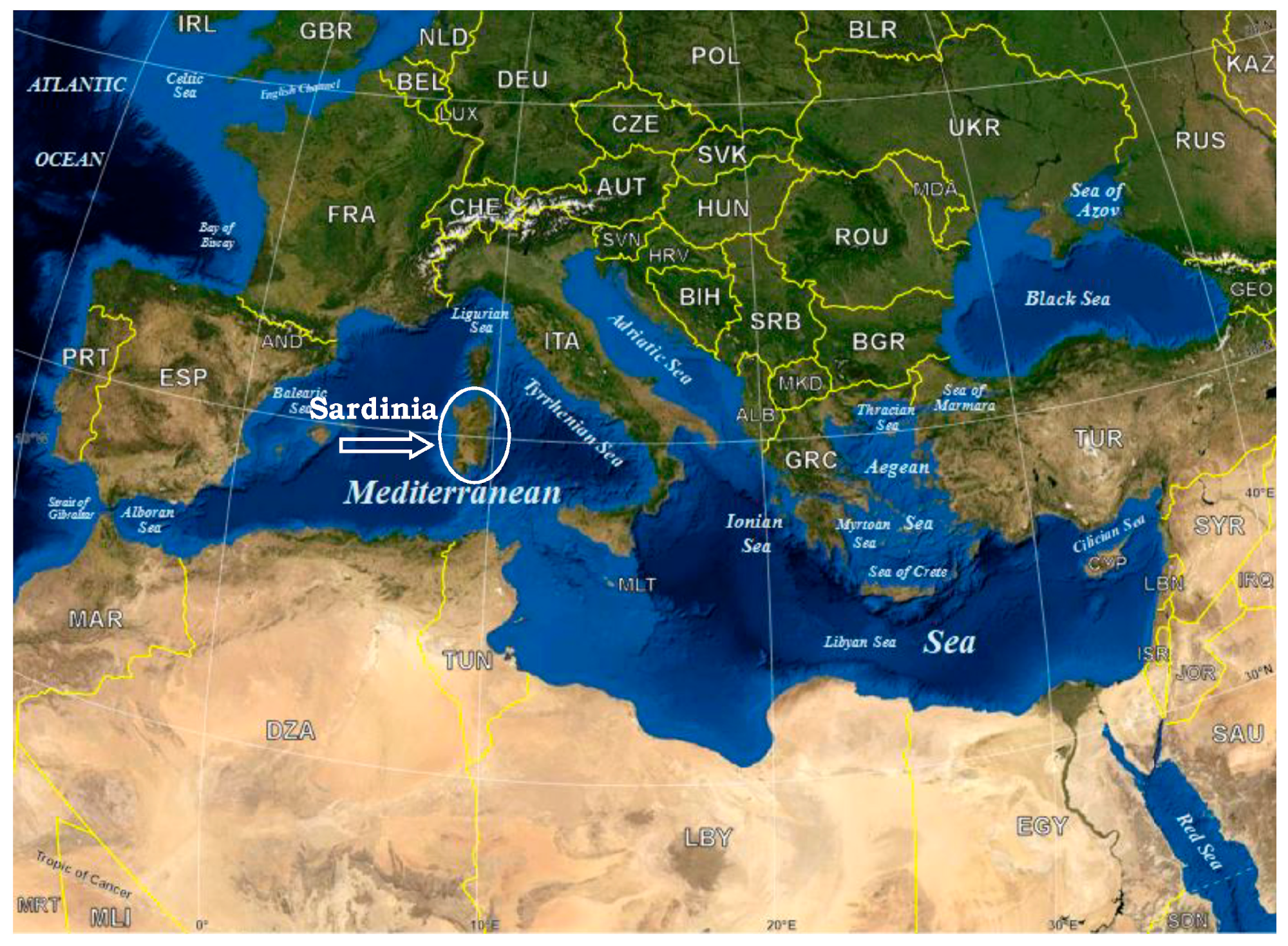 Pathogens 14 00790 g001 Pathogens 14 00790 g001