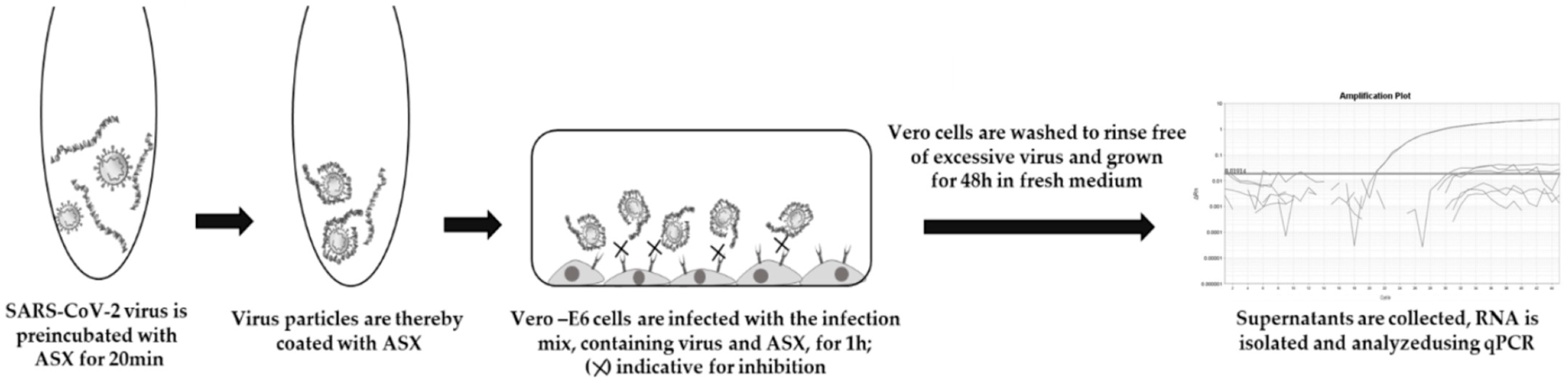 Pathogens 14 00791 g003