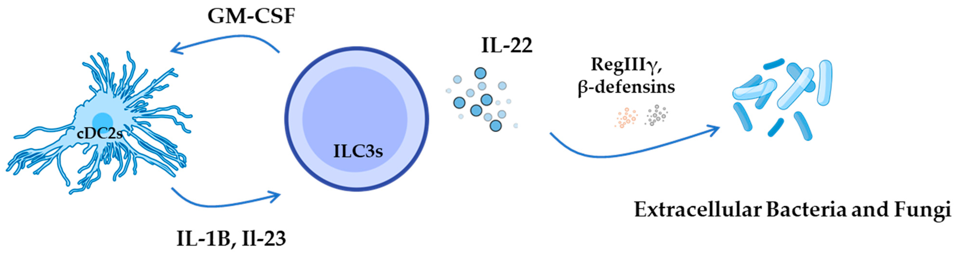 Pathogens 14 00794 g005