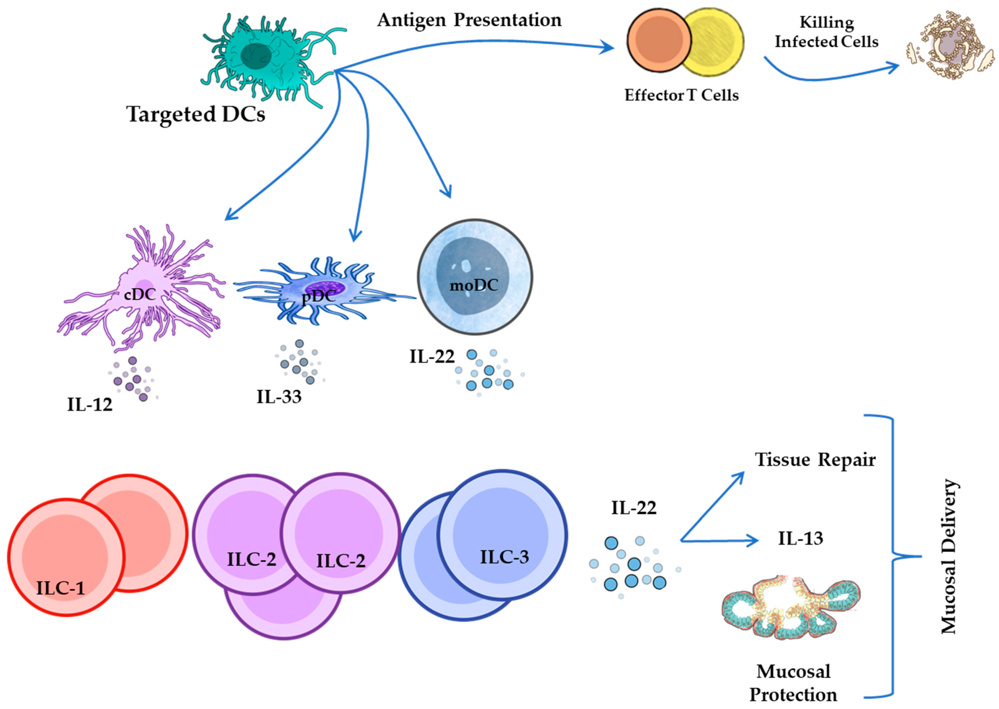 Pathogens 14 00794 g007
