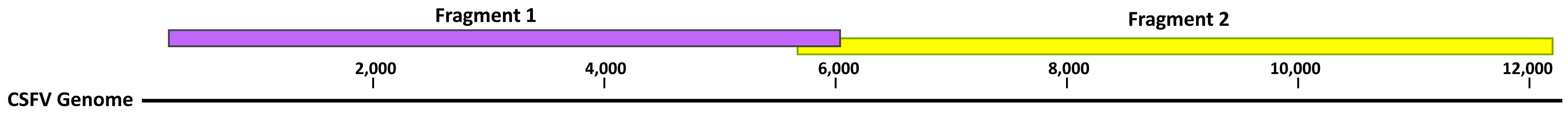 Pathogens 14 00804 g002 Pathogens 14 00804 g002