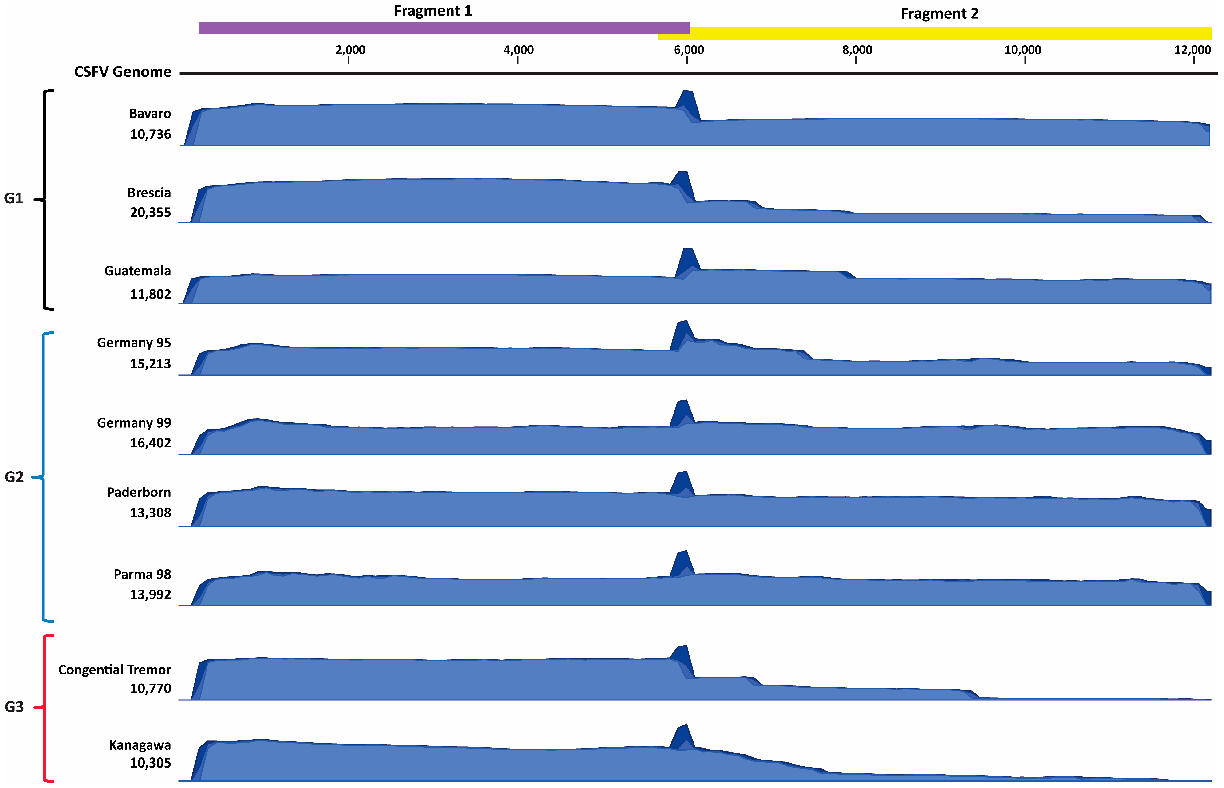 Pathogens 14 00804 g004 Pathogens 14 00804 g004