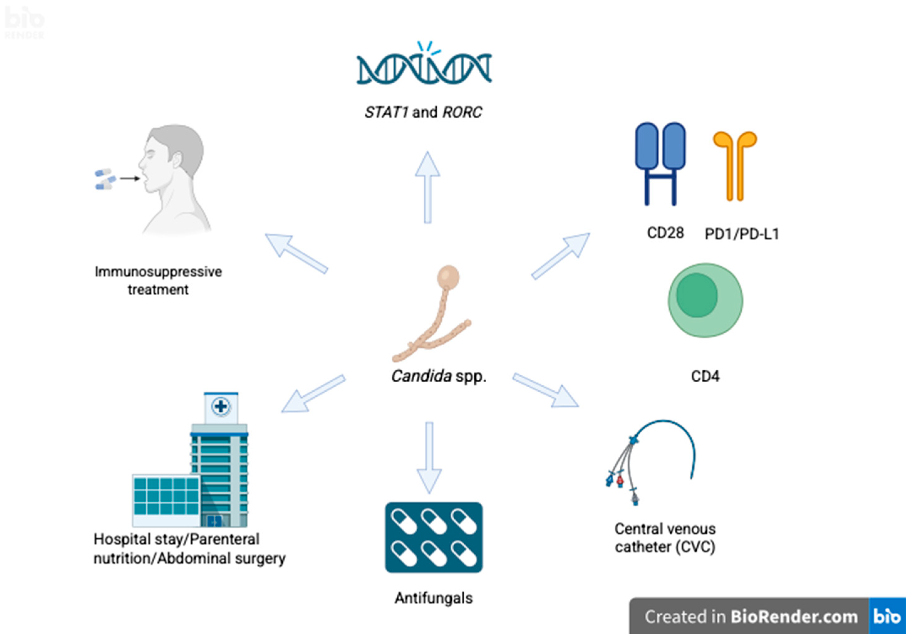 Pathogens 14 00806 g002 Pathogens 14 00806 g002