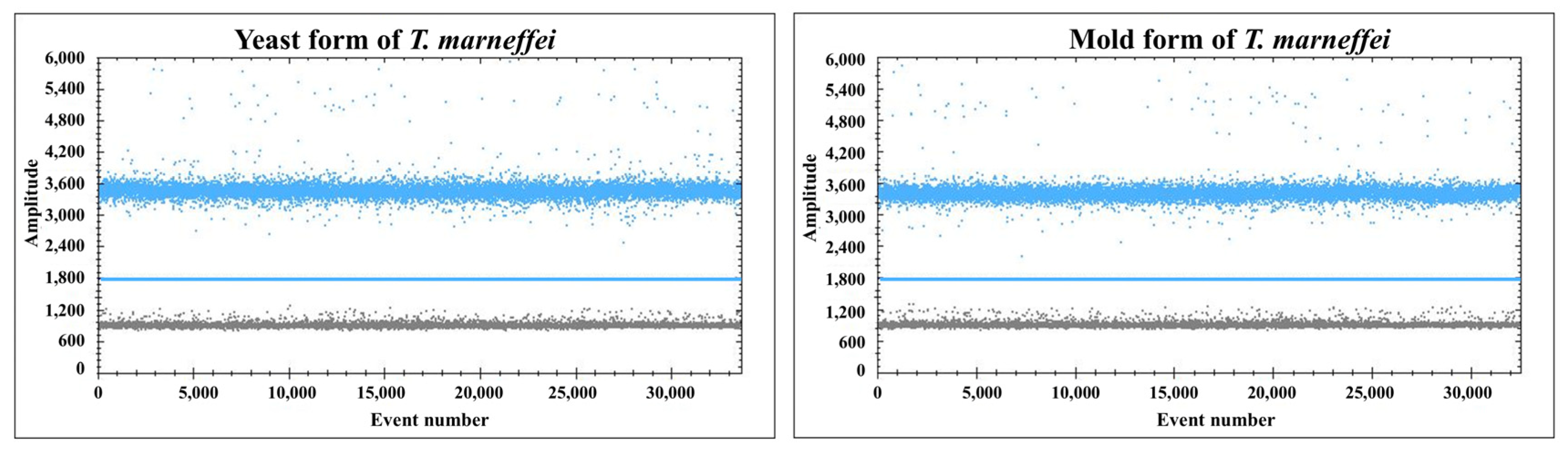 Pathogens 14 00817 g002