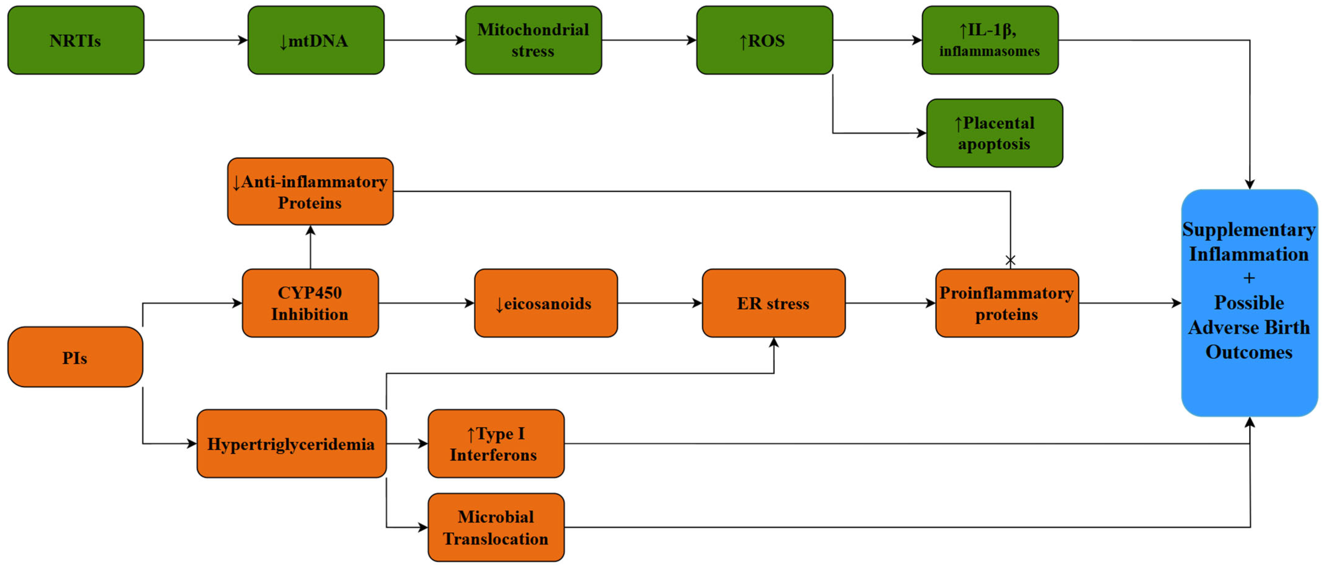 Pathogens 14 00818 g001