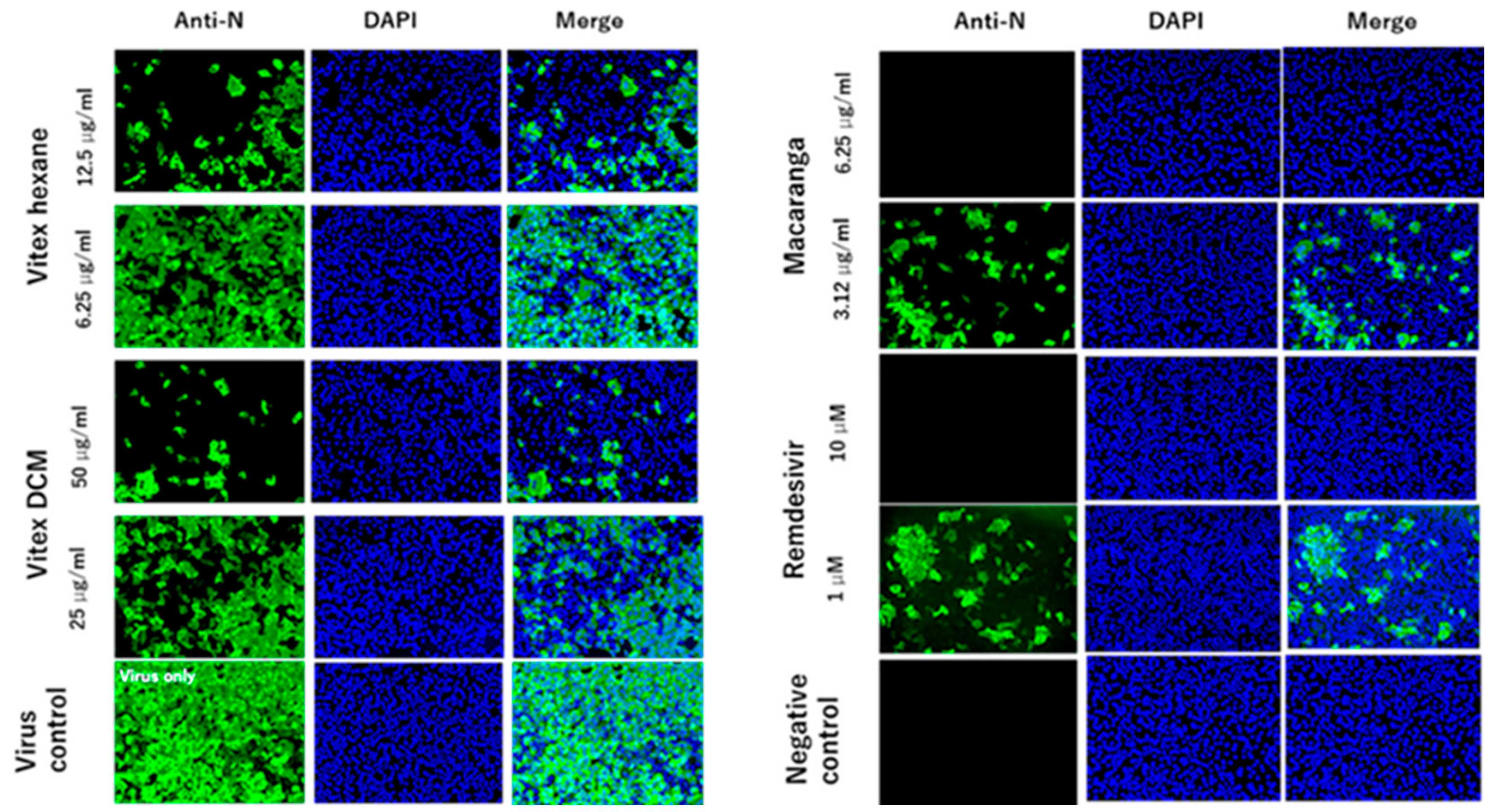 Pathogens 14 00820 g004 Pathogens 14 00820 g004