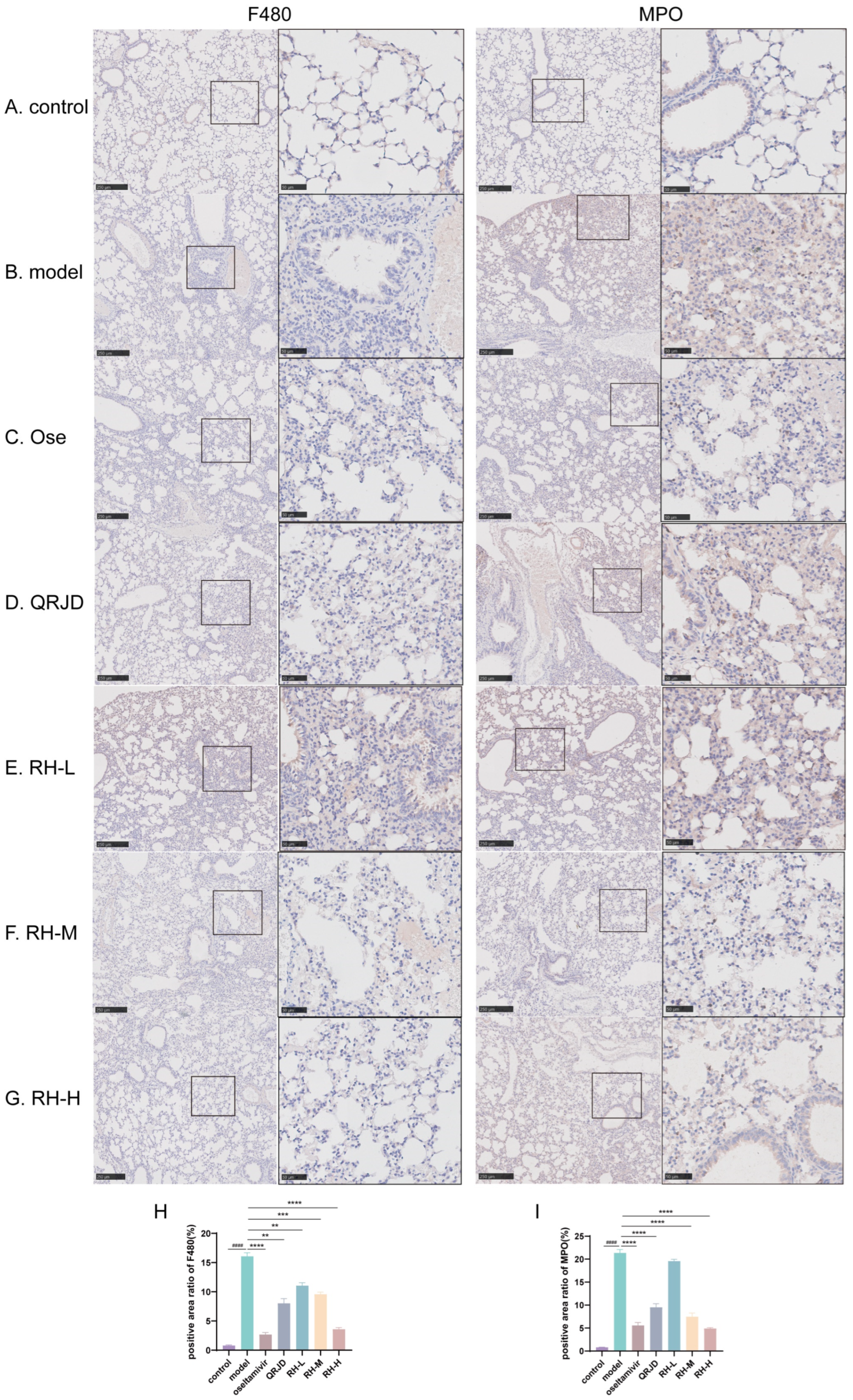 Pathogens 14 00834 g006