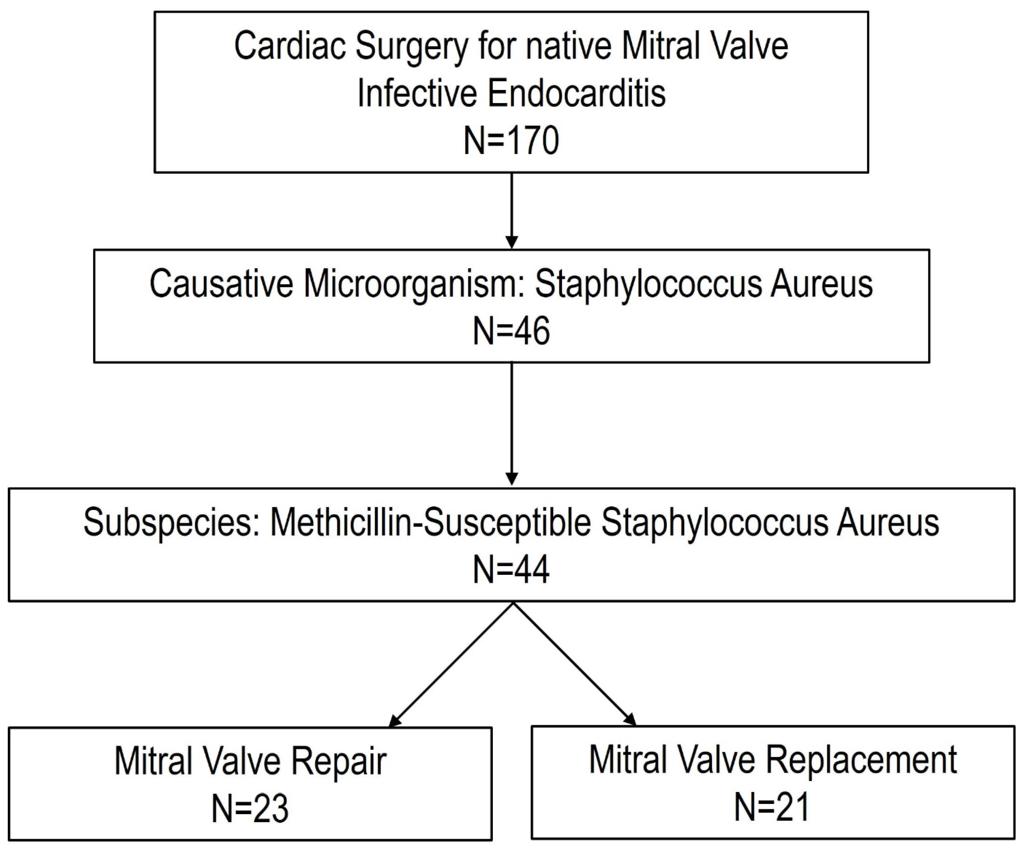 Pathogens 14 00839 g001 Pathogens 14 00839 g001