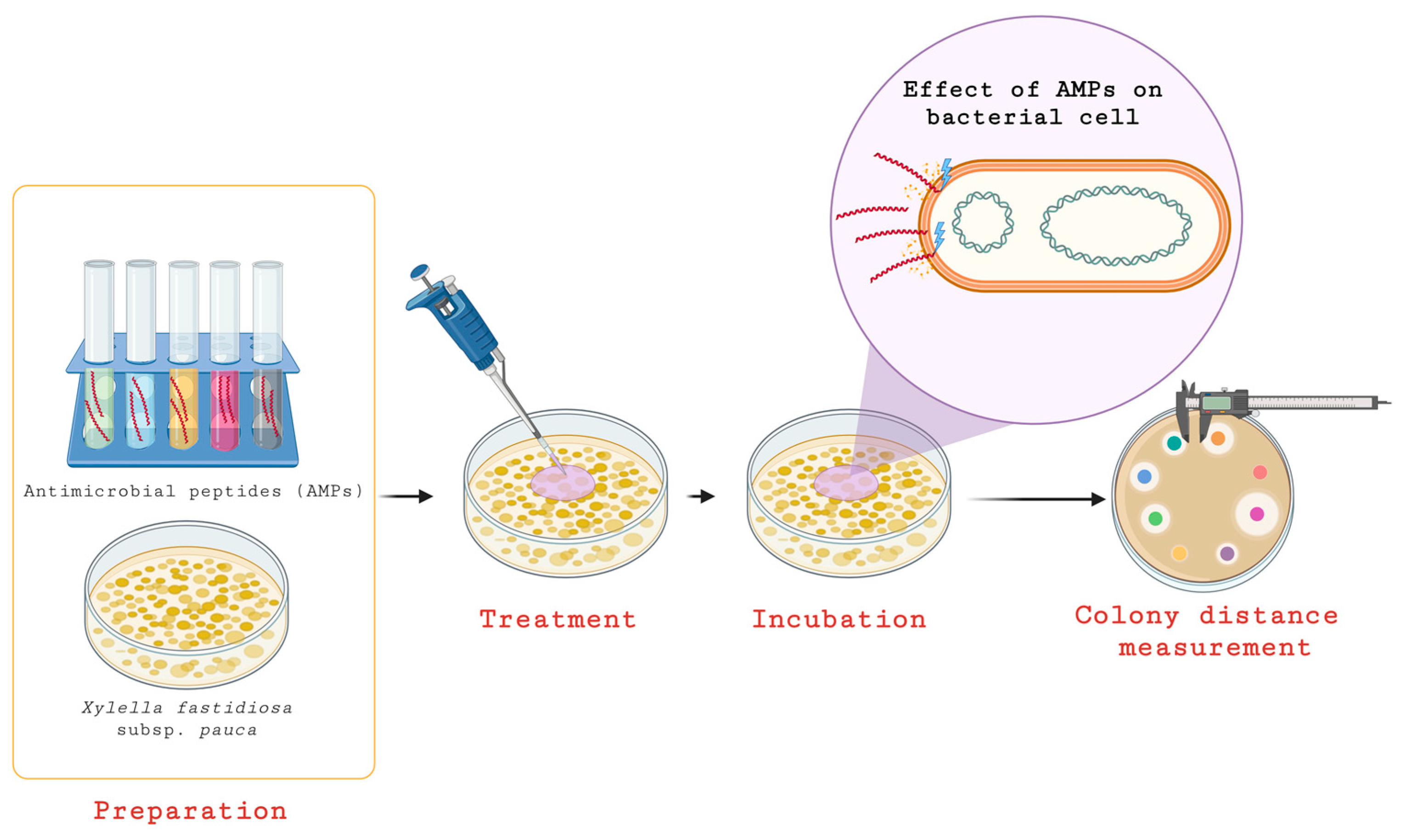 Pathogens 14 00840 g001 Pathogens 14 00840 g001