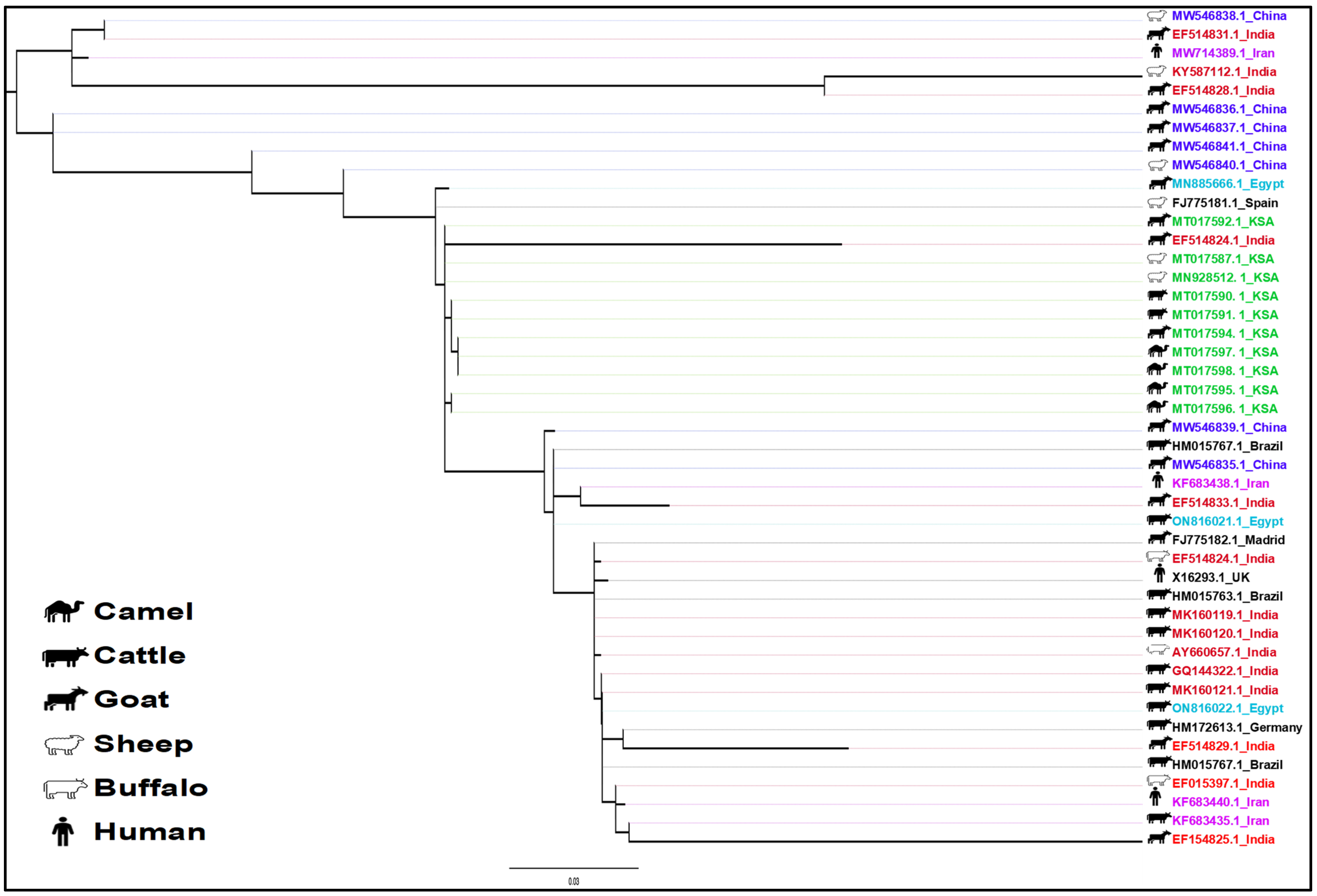 Pathogens 14 00841 g003