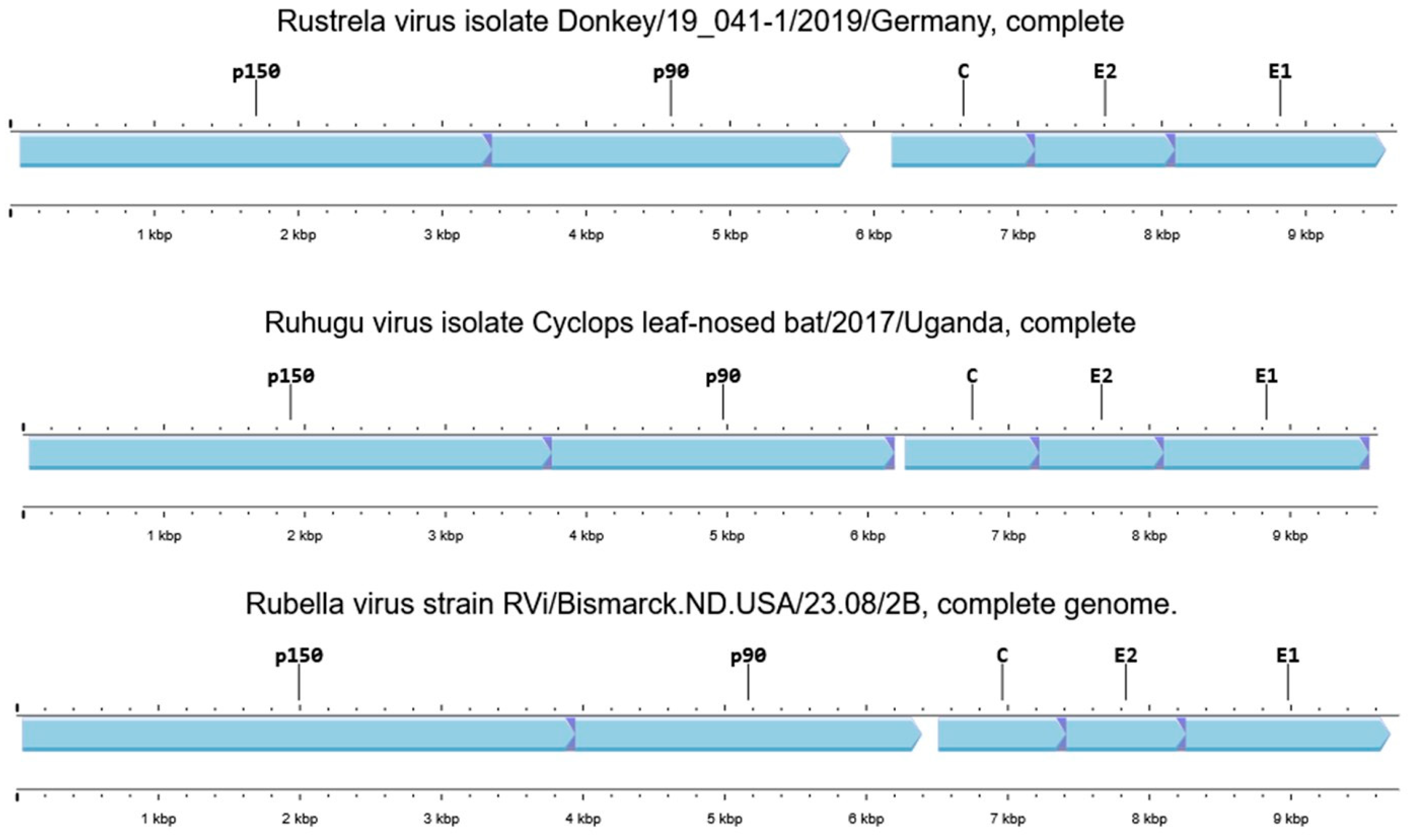 Pathogens 14 00851 g002 Pathogens 14 00851 g002