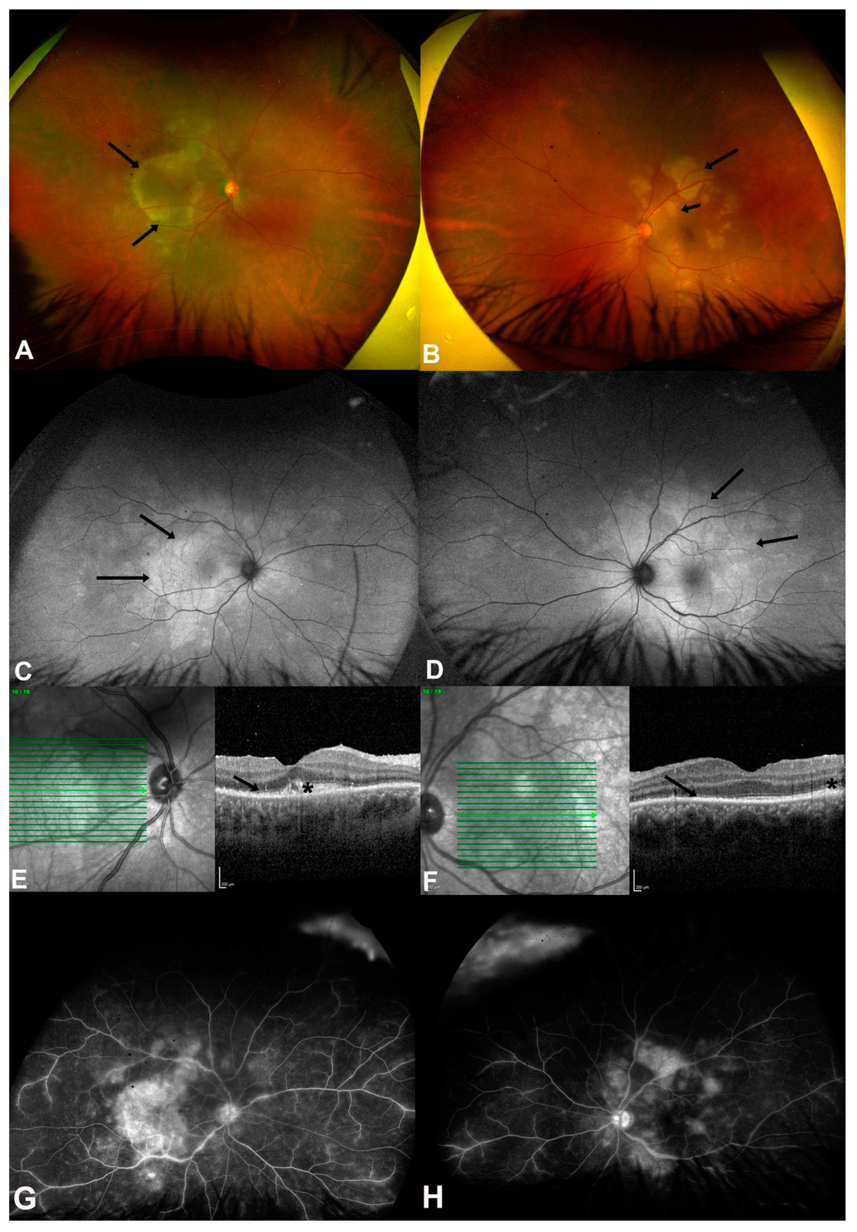 Pathogens 14 00852 g001