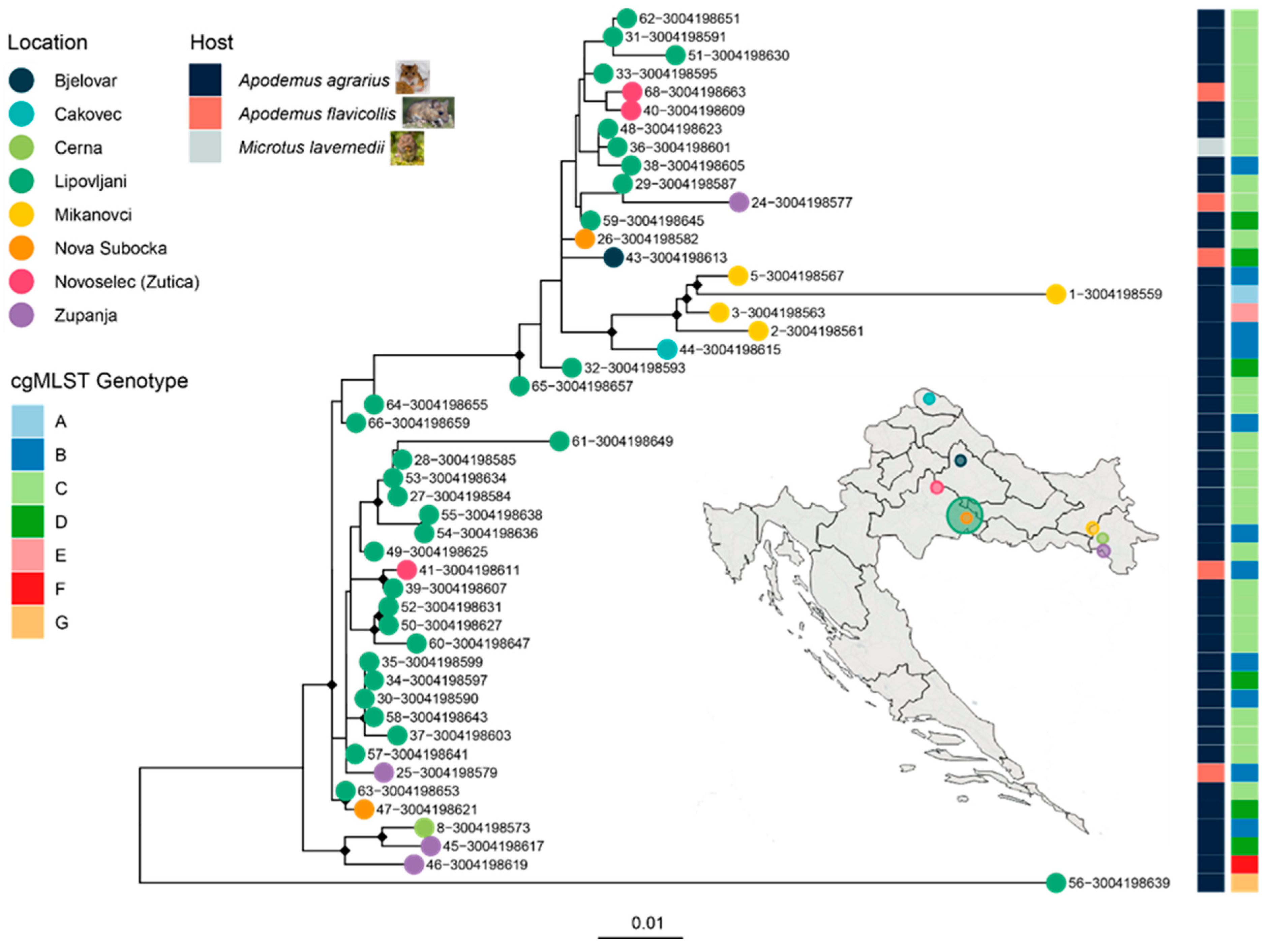 Pathogens 14 00860 g004