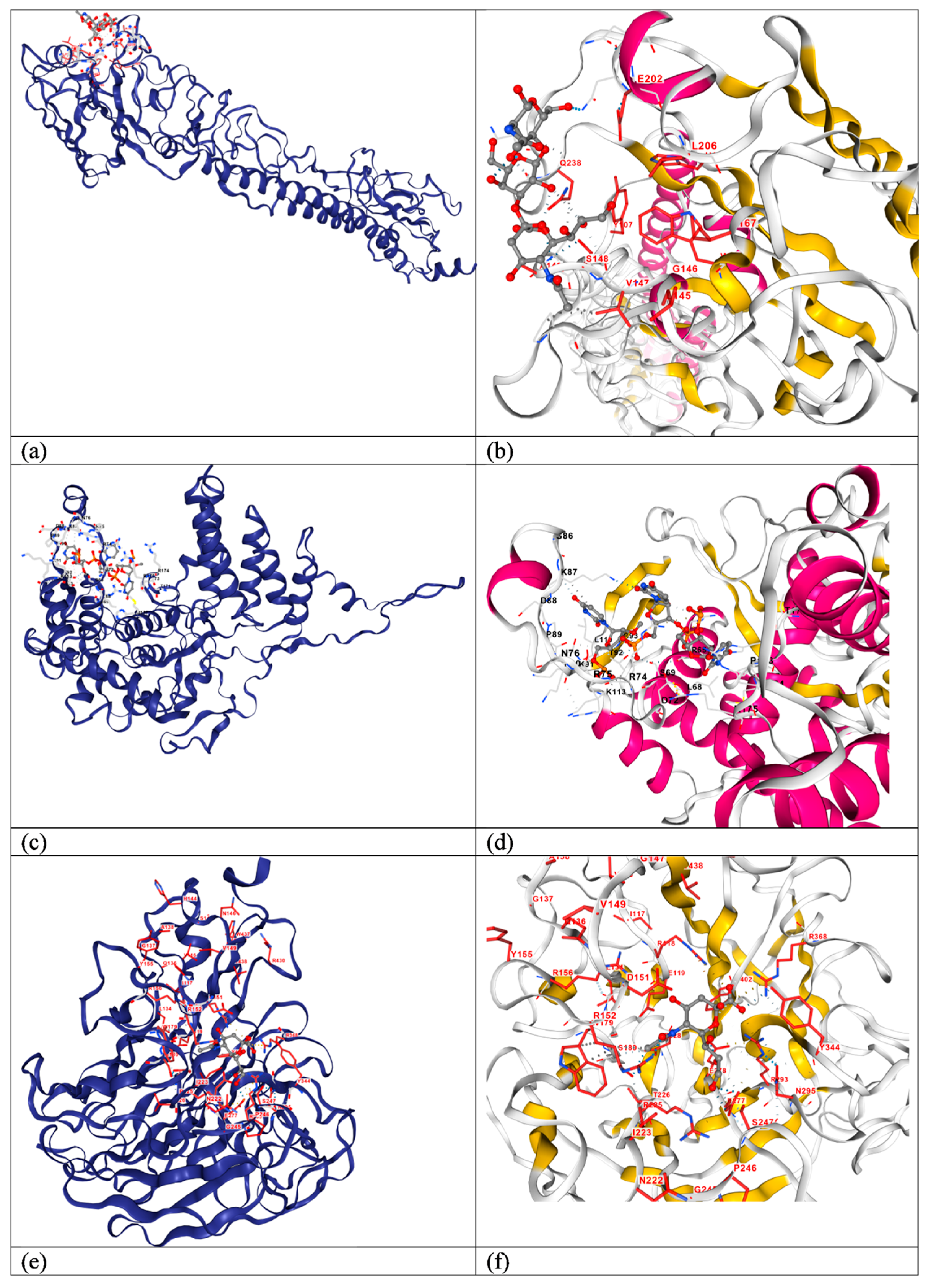 Pathogens 14 00864 g008