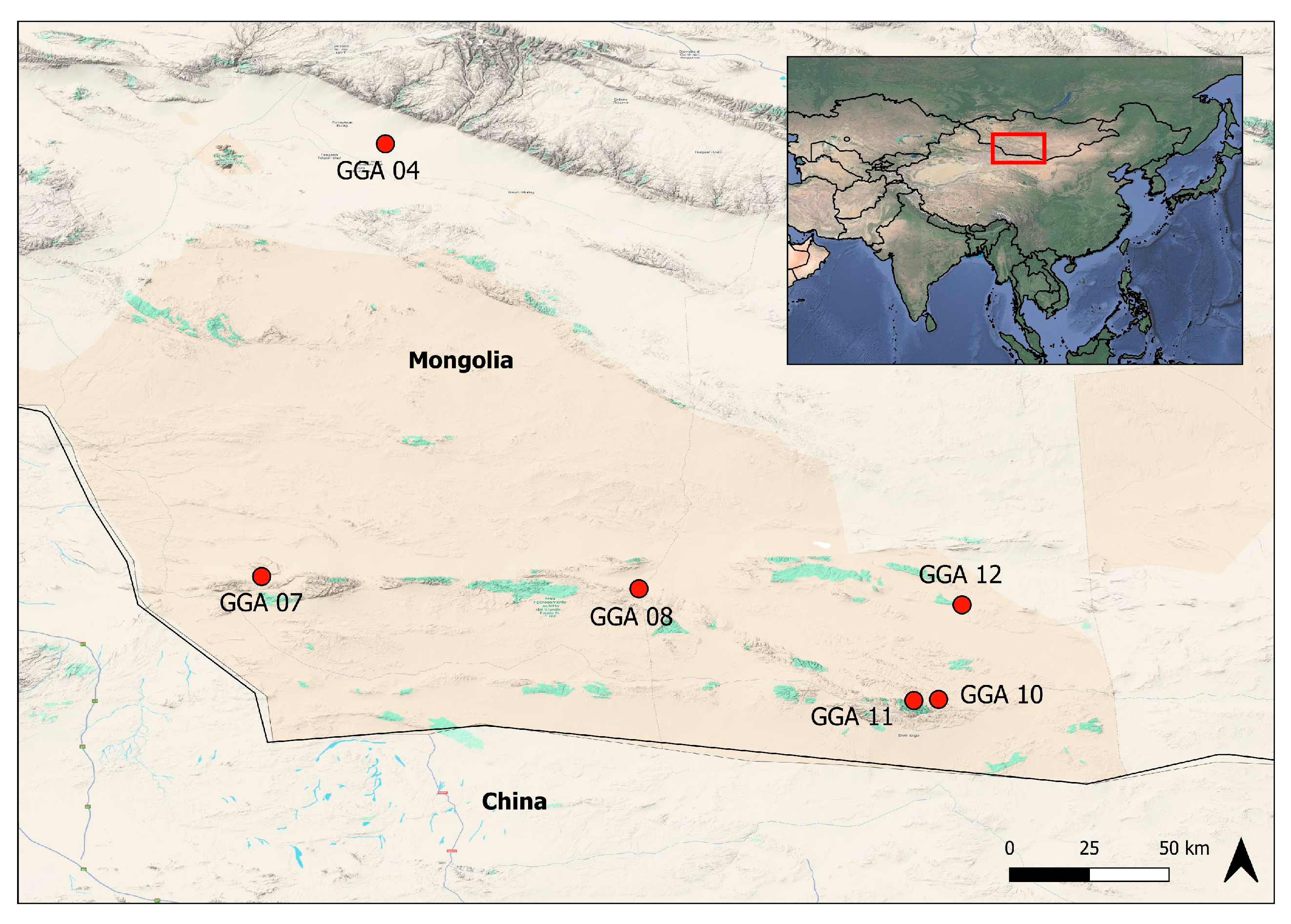 Pathogens 14 00870 g001 Pathogens 14 00870 g001