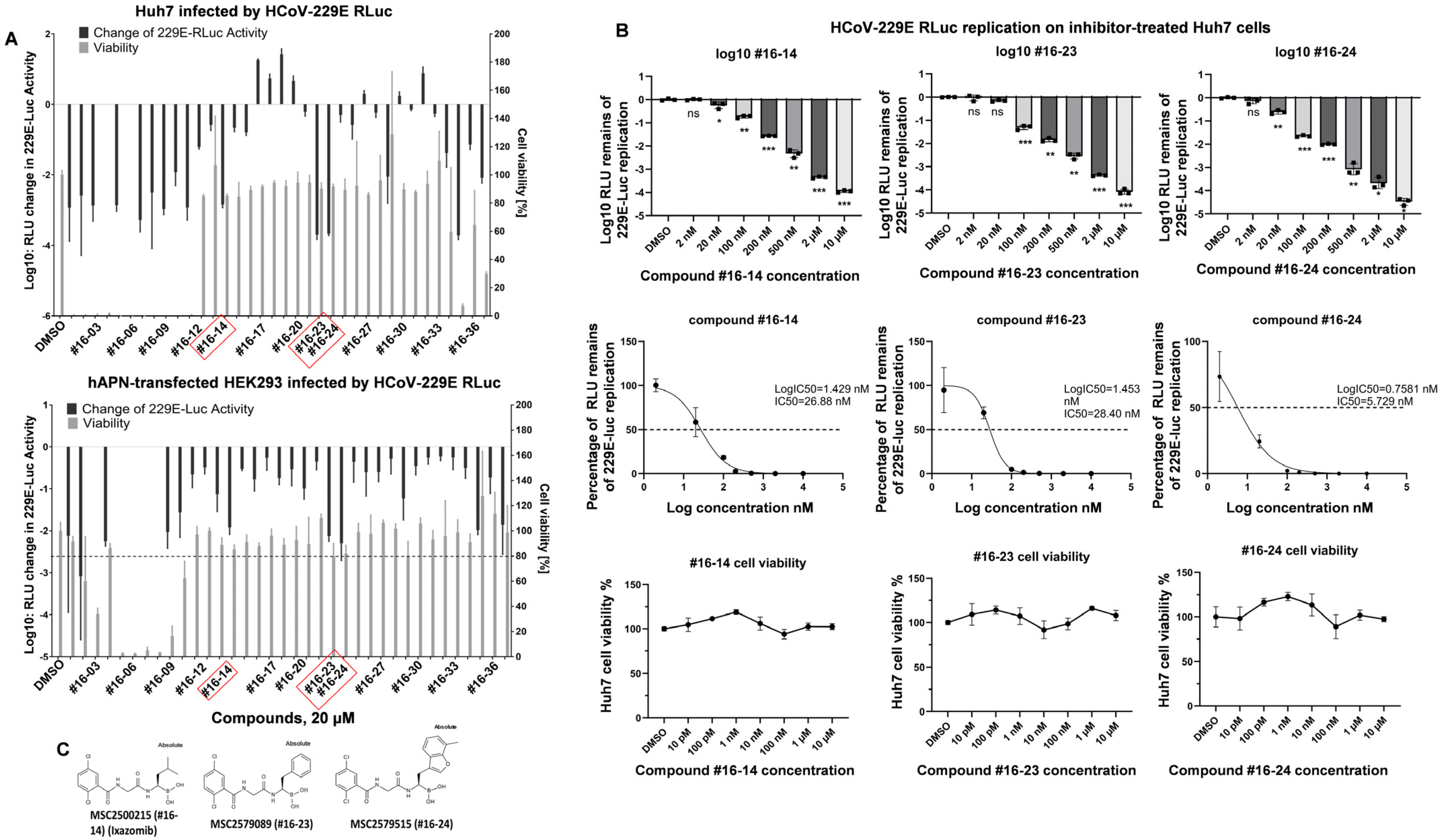 Pathogens 14 00871 g001