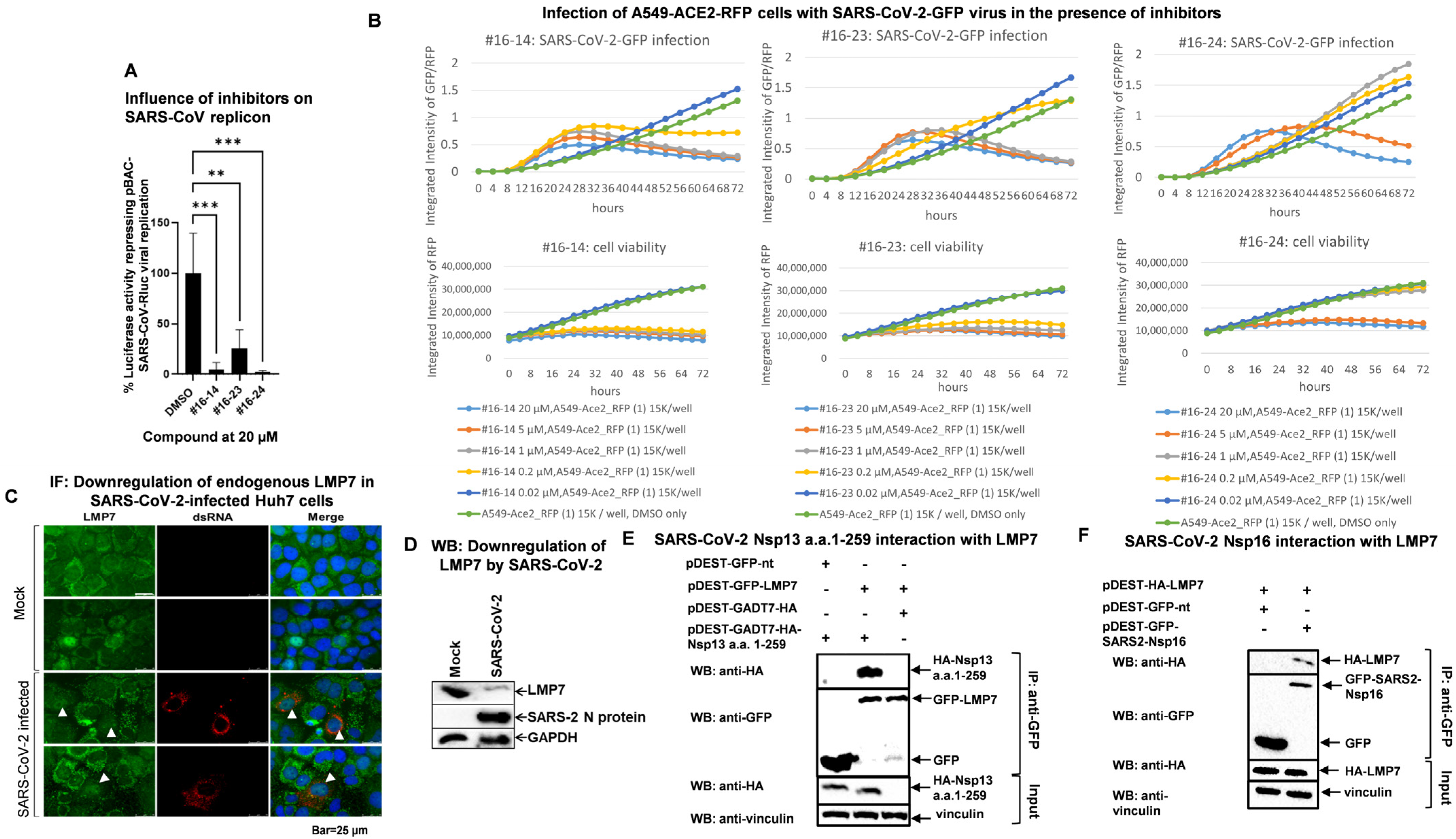 Pathogens 14 00871 g002