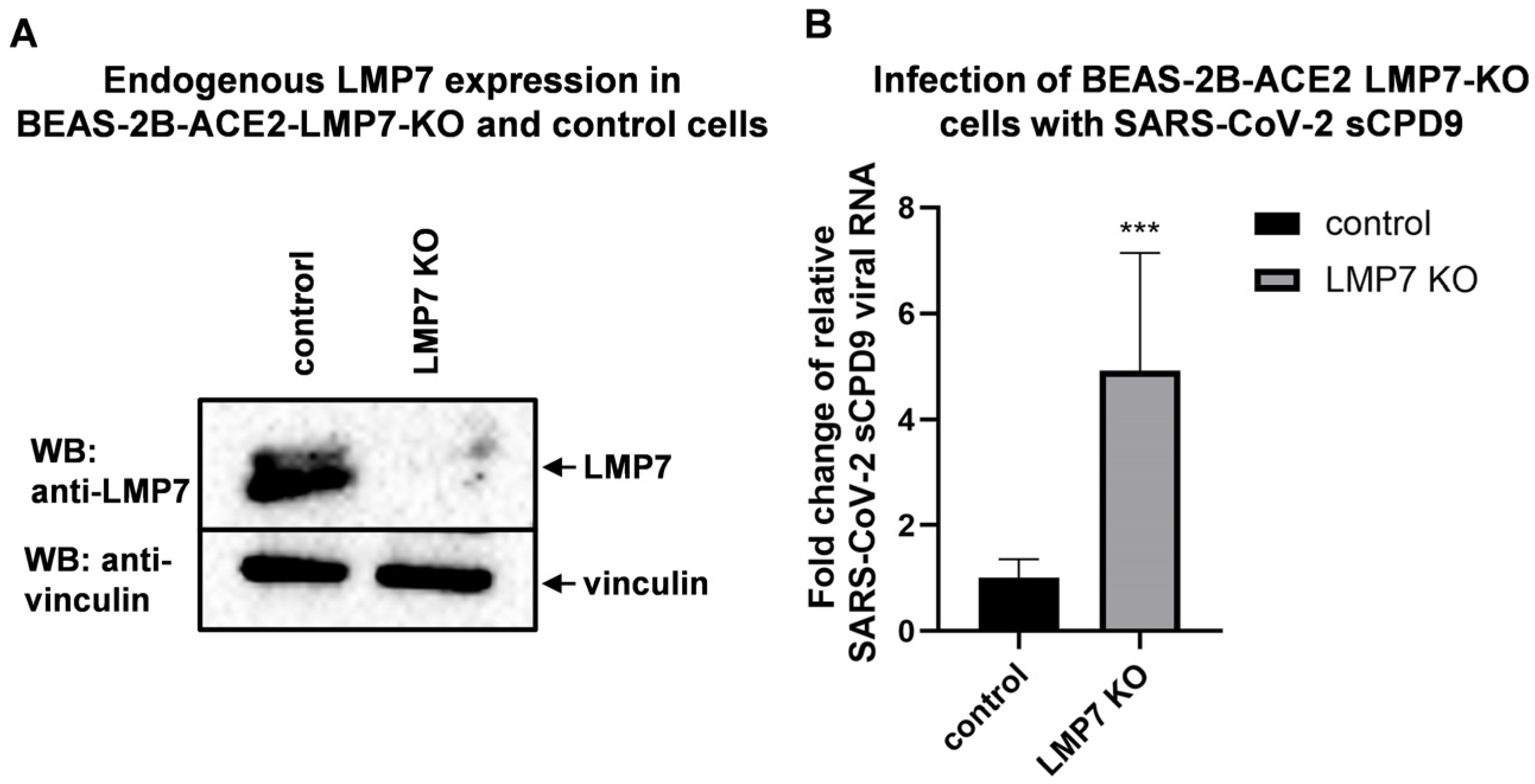 Pathogens 14 00871 g004