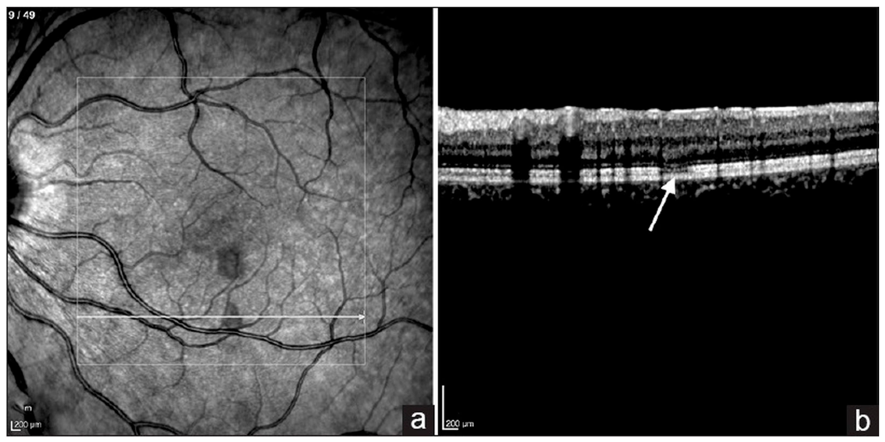 Pathogens 14 00872 g002 Pathogens 14 00872 g002