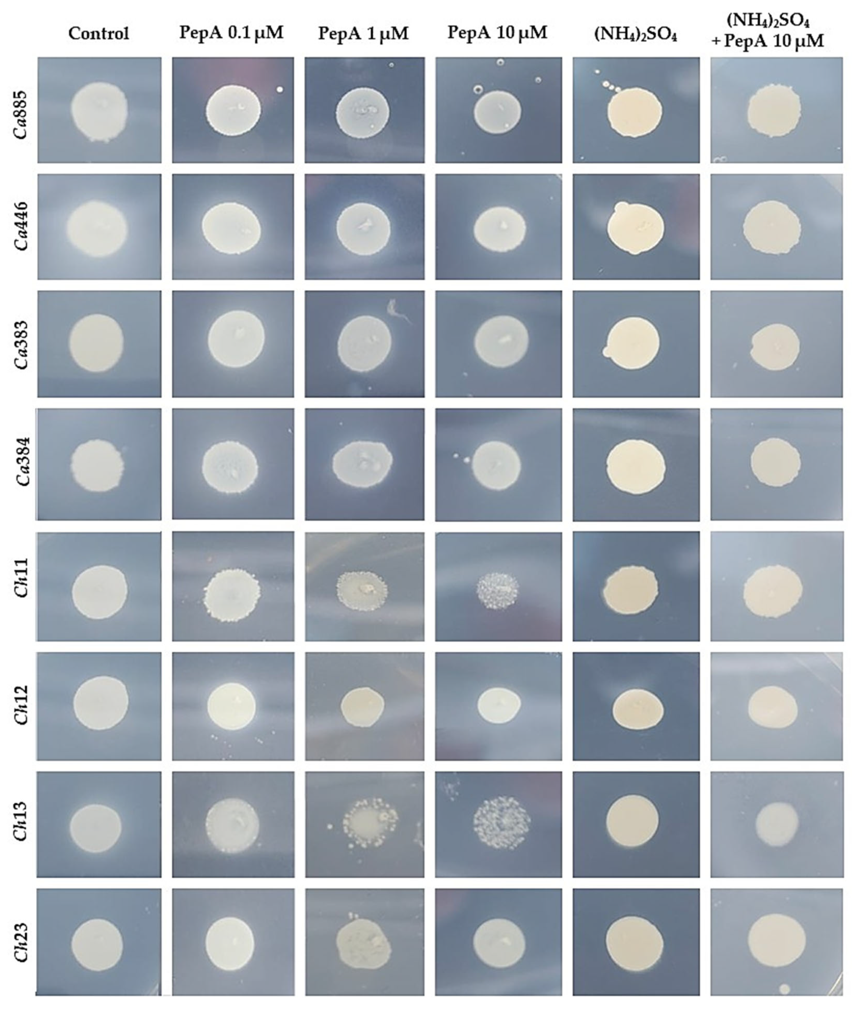 Pathogens 14 00873 g003