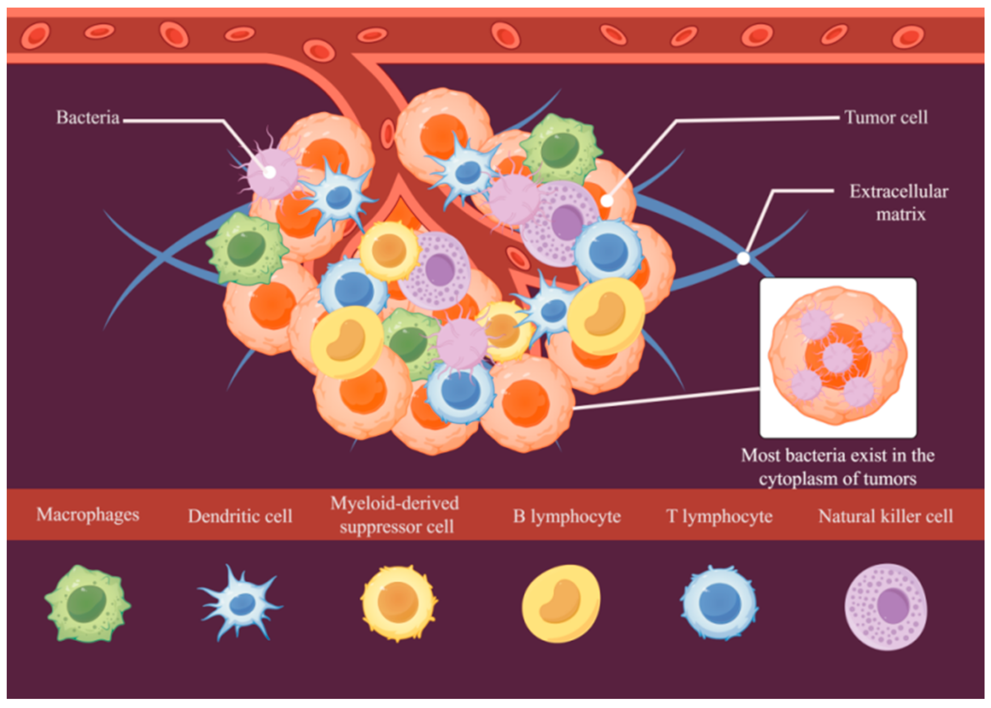 Pathogens 14 00874 g001 Pathogens 14 00874 g001