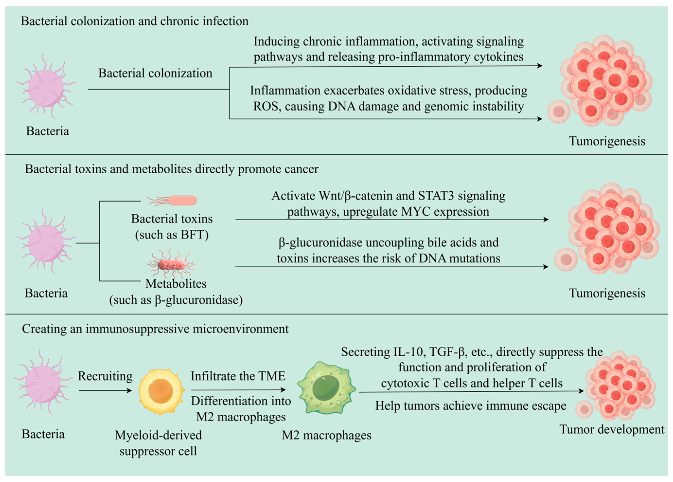 Pathogens 14 00874 g002 Pathogens 14 00874 g002