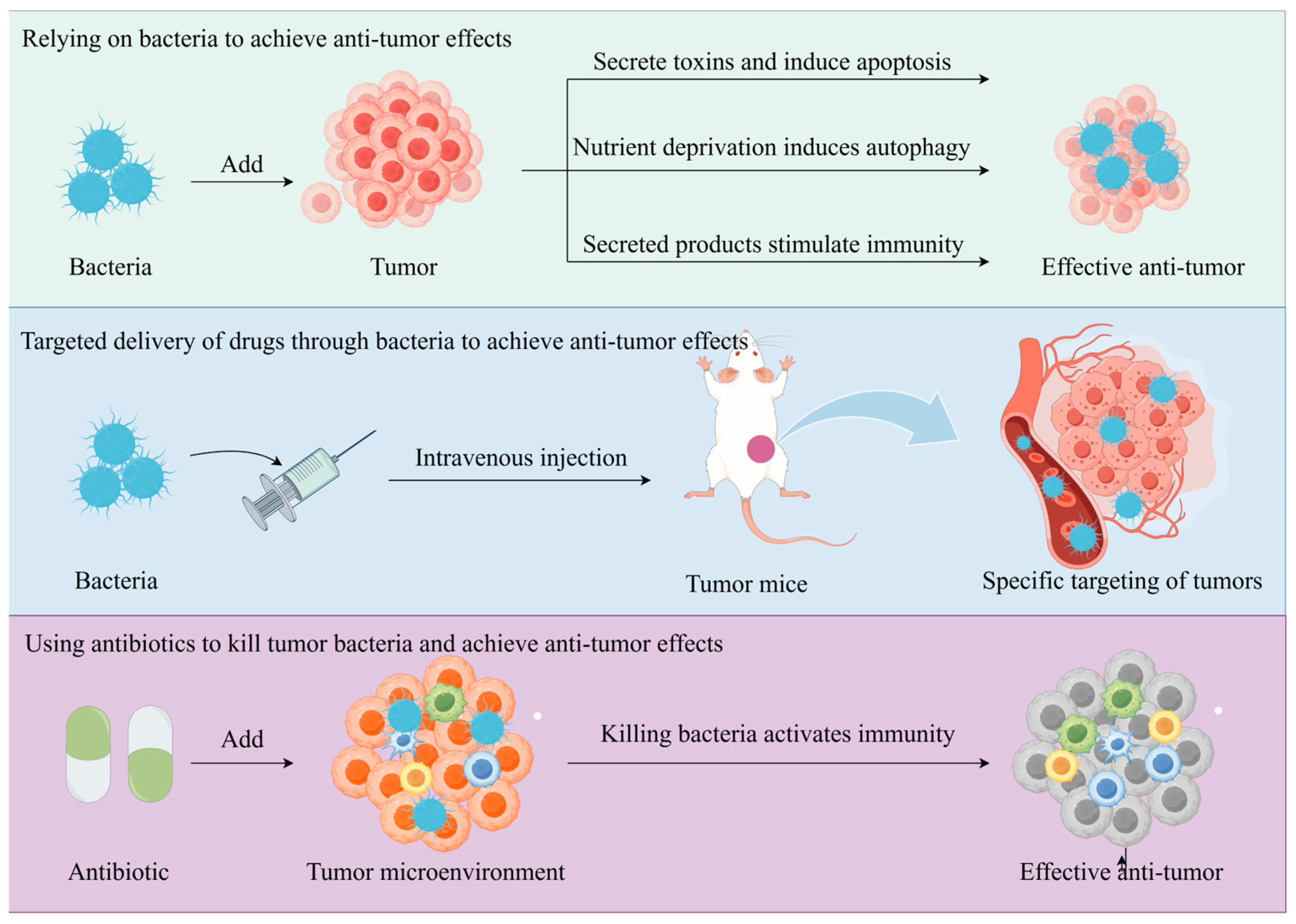Pathogens 14 00874 g003 Pathogens 14 00874 g003