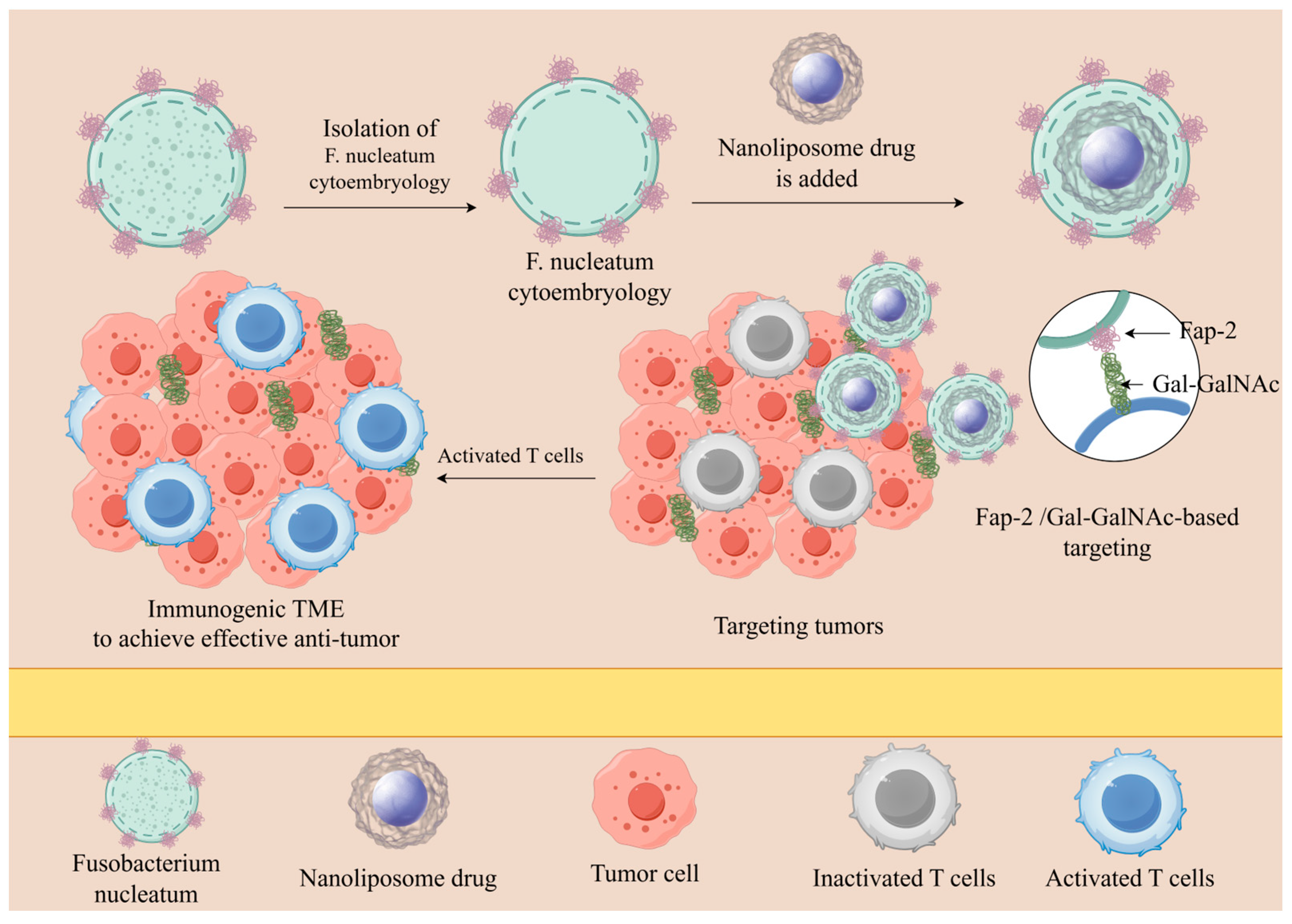 Pathogens 14 00874 g004 Pathogens 14 00874 g004