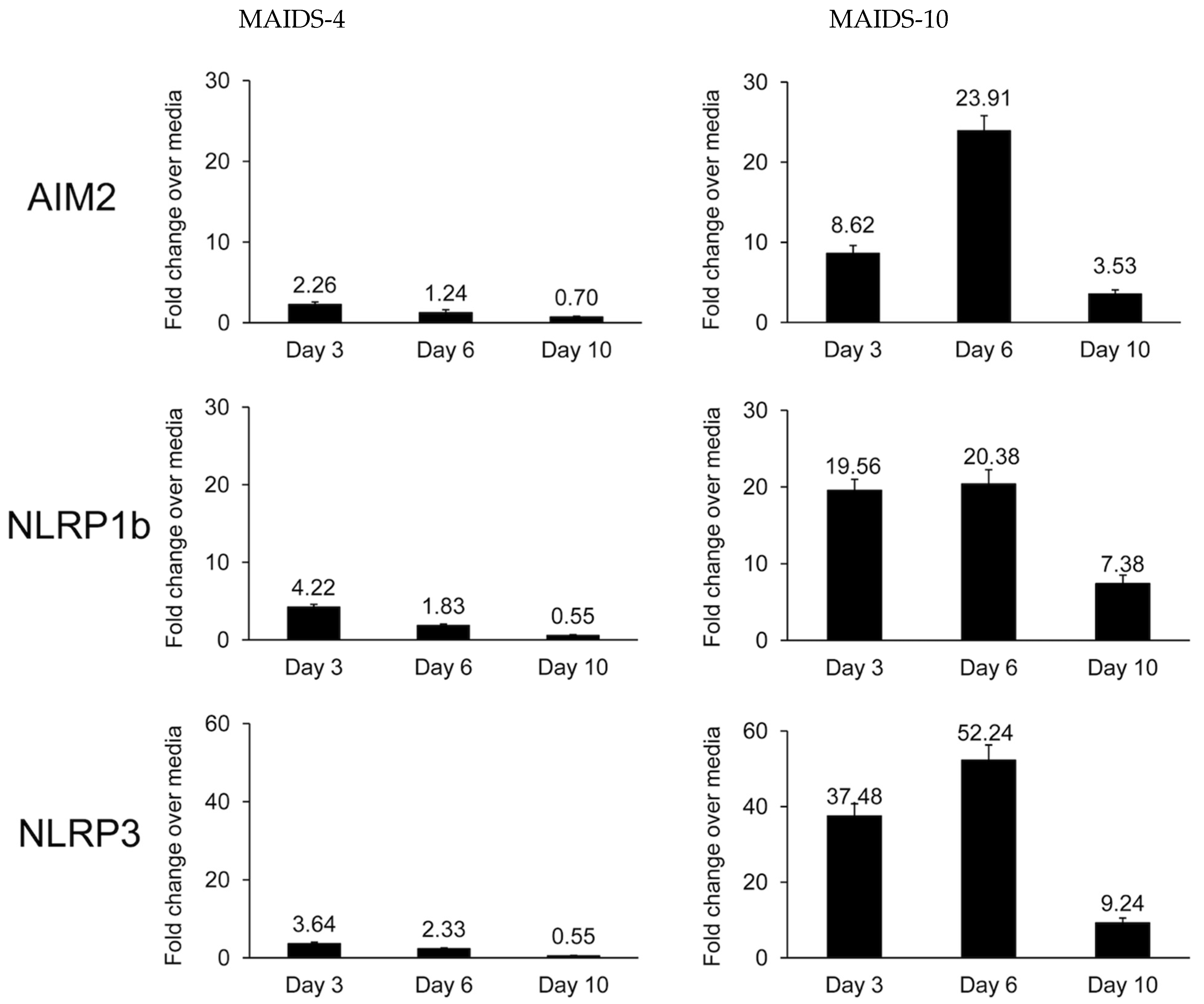 Pathogens 14 00879 g001 Pathogens 14 00879 g001