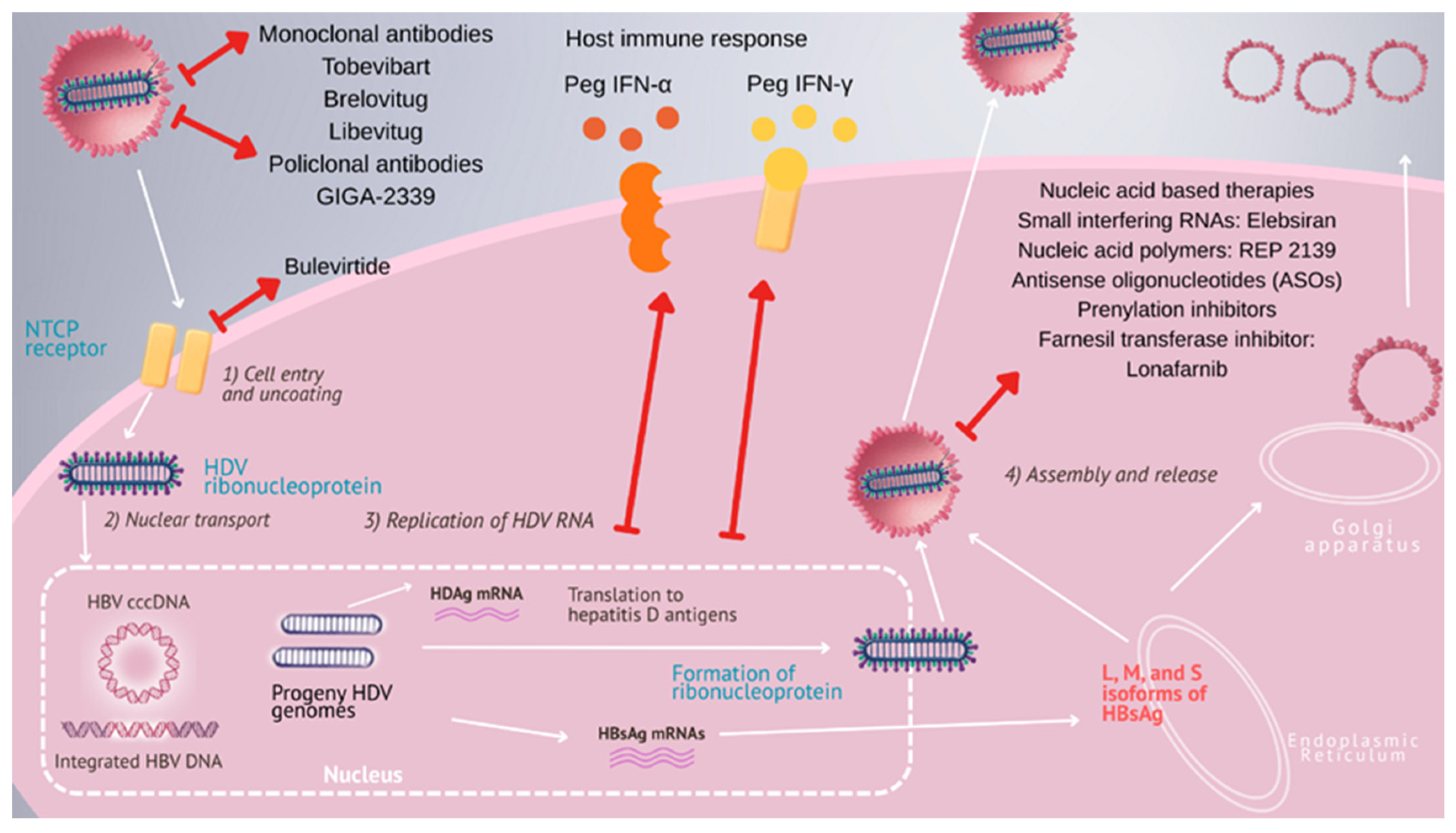 Pathogens 14 00899 g001