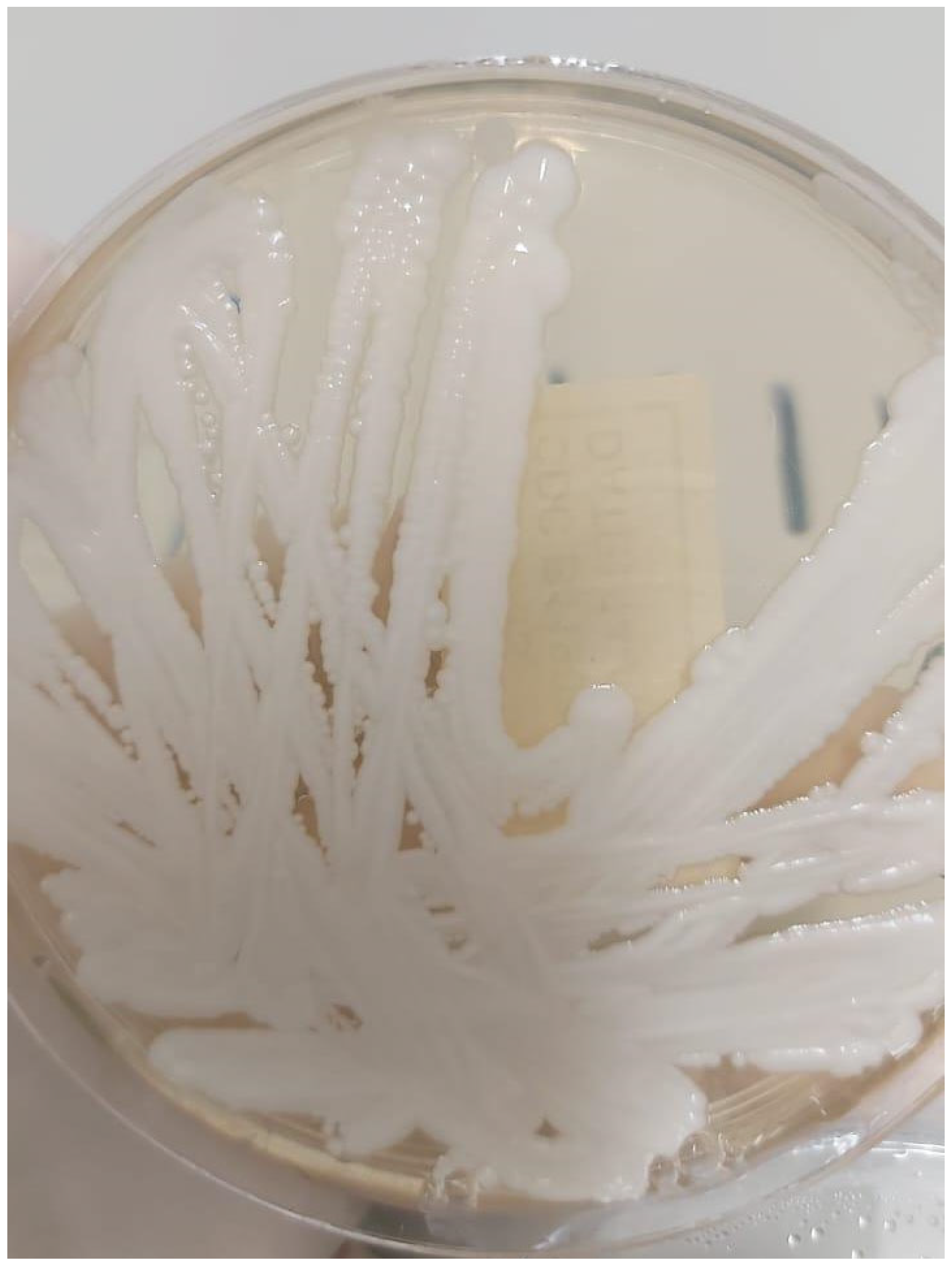 Pathogens 14 00903 g002 Pathogens 14 00903 g002