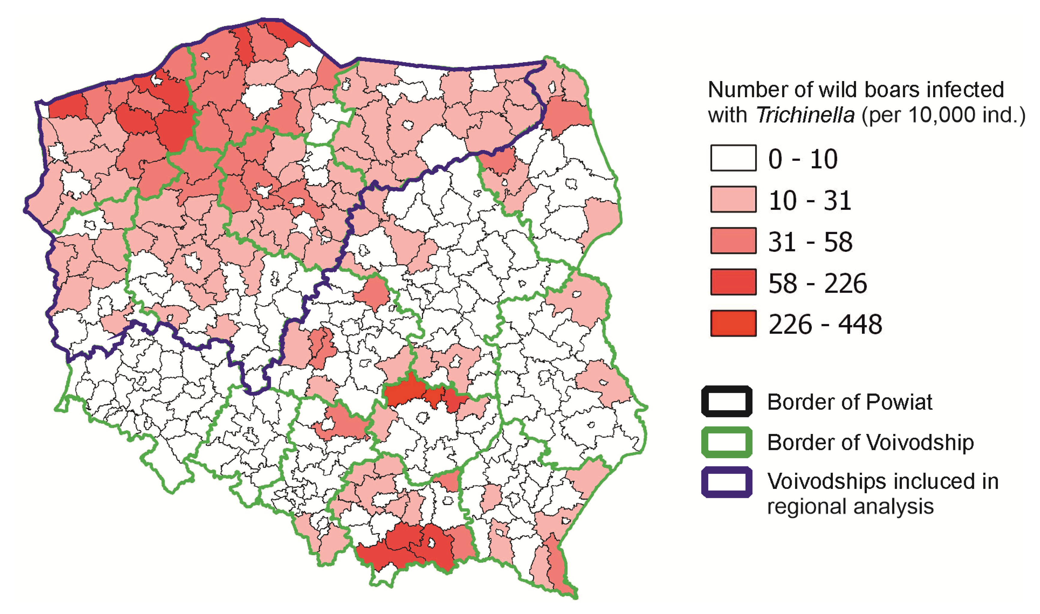 Pathogens 14 00906 g001