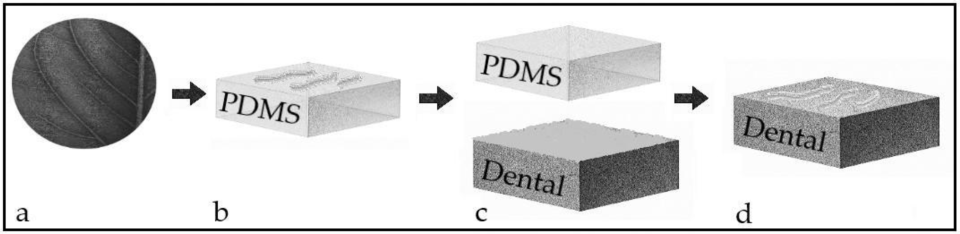 Pathogens 14 00909 g001 Pathogens 14 00909 g001