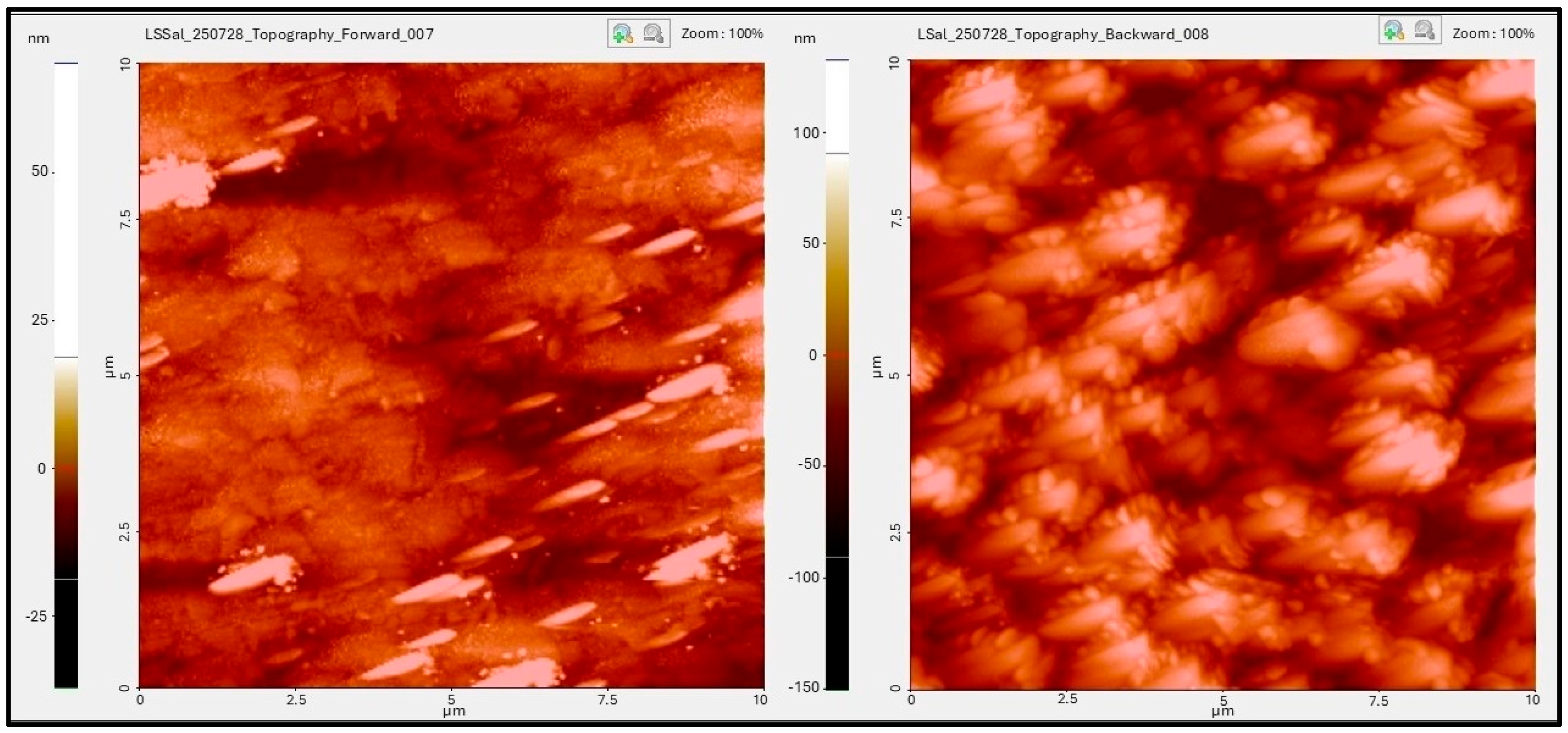 Pathogens 14 00909 g002 Pathogens 14 00909 g002