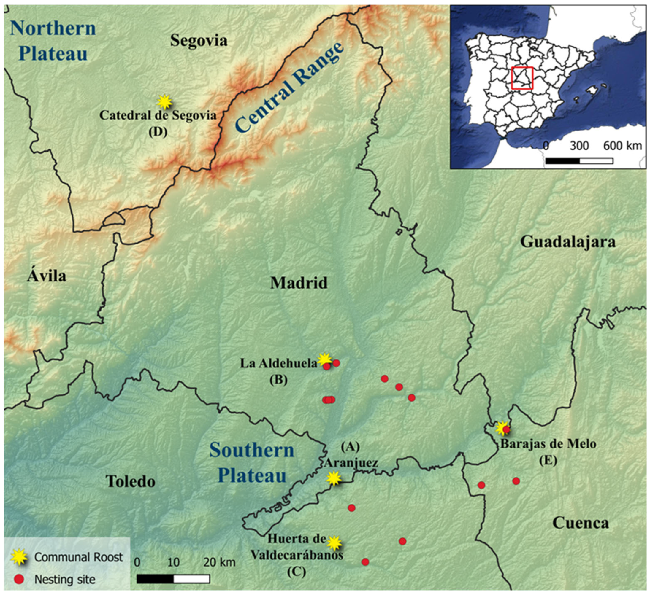 Pathogens 14 00915 g001