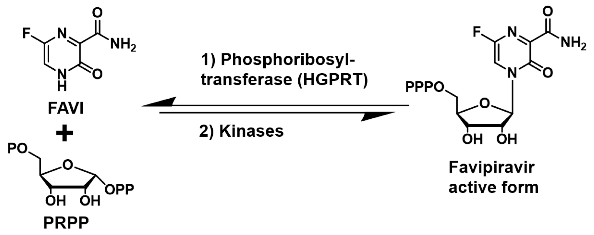 Pathogens 14 00925 g001