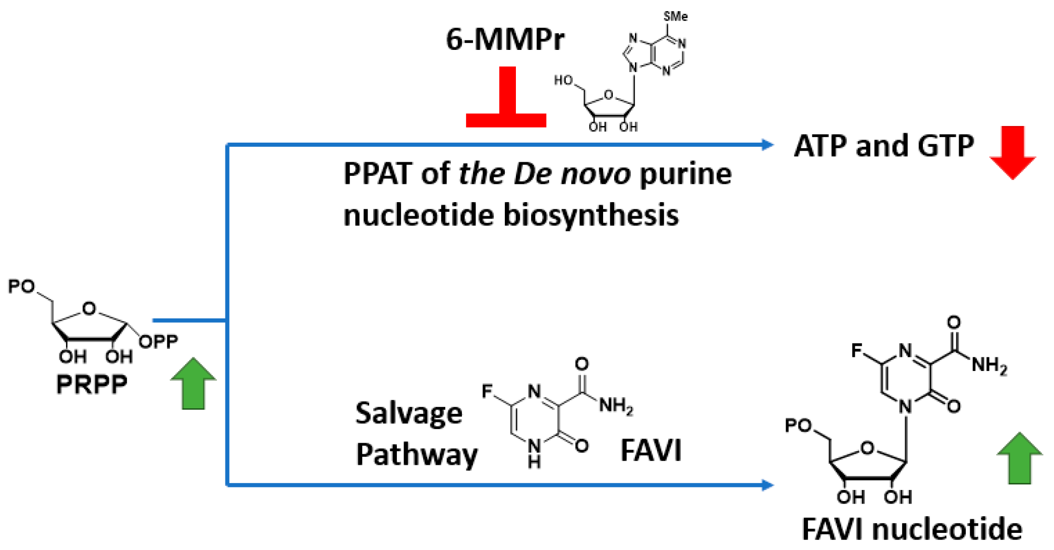 Pathogens 14 00925 g002