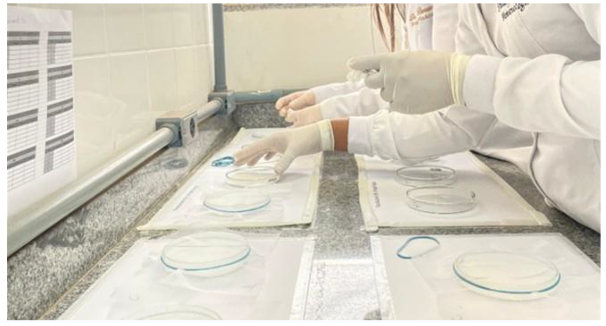 Pathogens 14 00926 g001 Pathogens 14 00926 g001