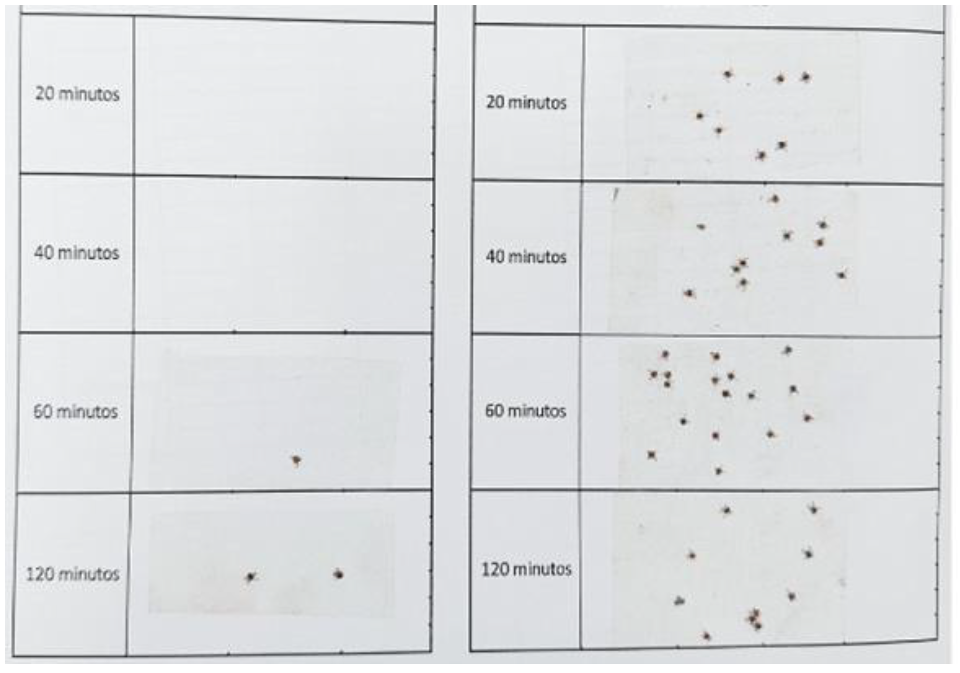 Pathogens 14 00926 g004 Pathogens 14 00926 g004