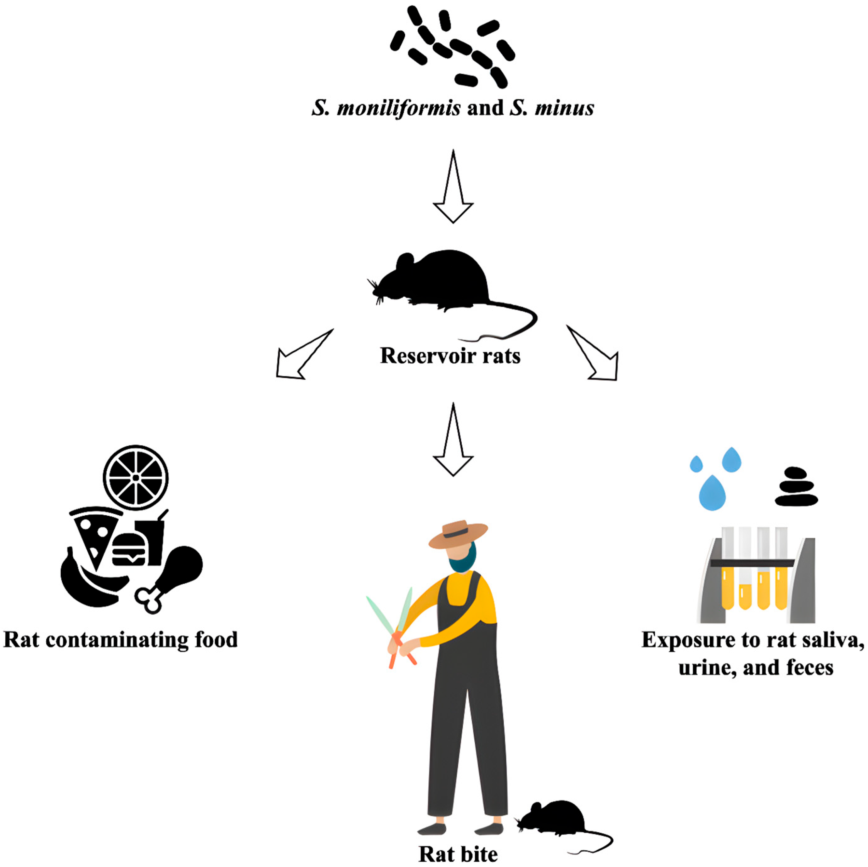 Pathogens 14 00928 g002 Pathogens 14 00928 g002
