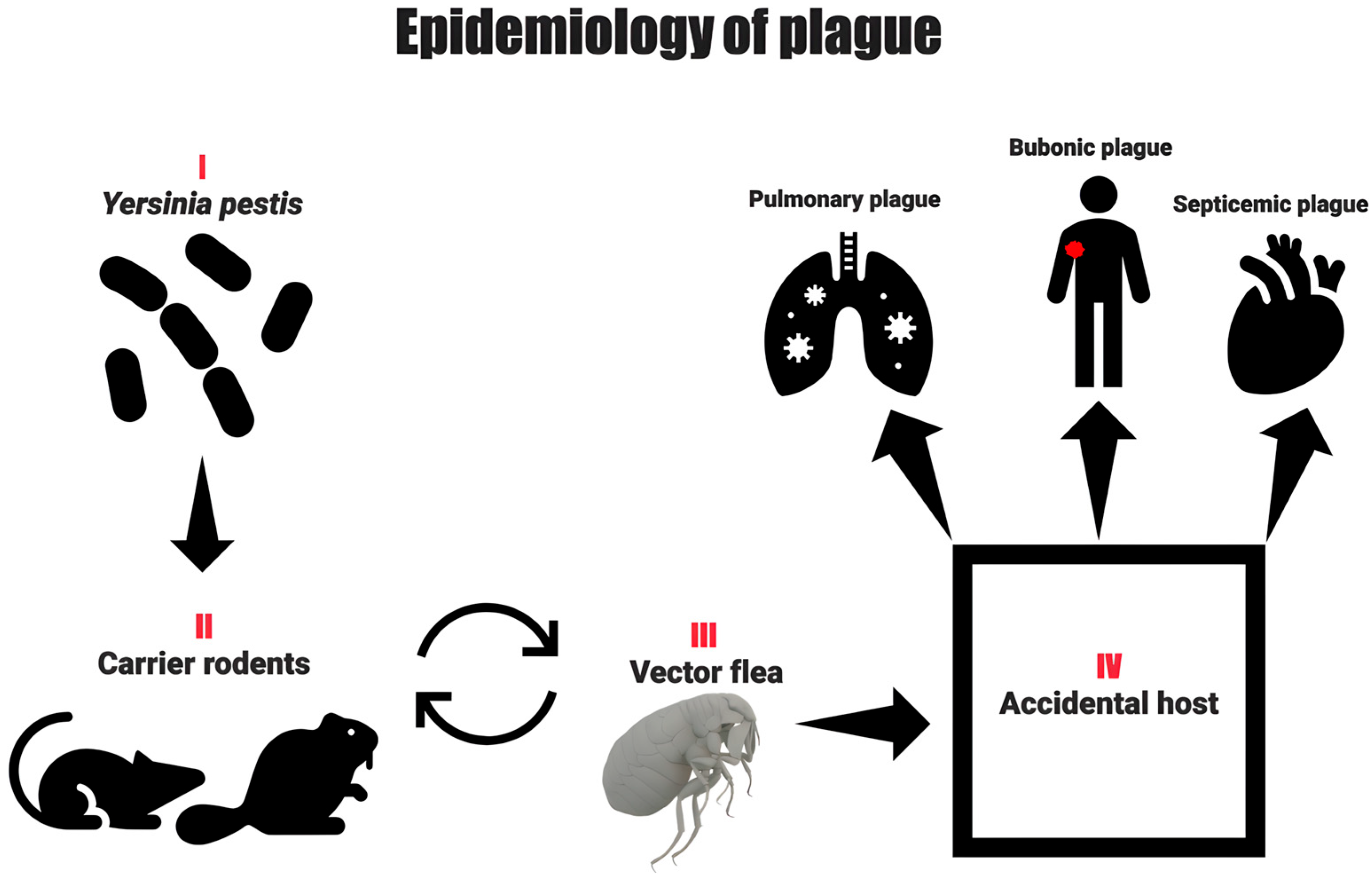 Pathogens 14 00928 g003 Pathogens 14 00928 g003