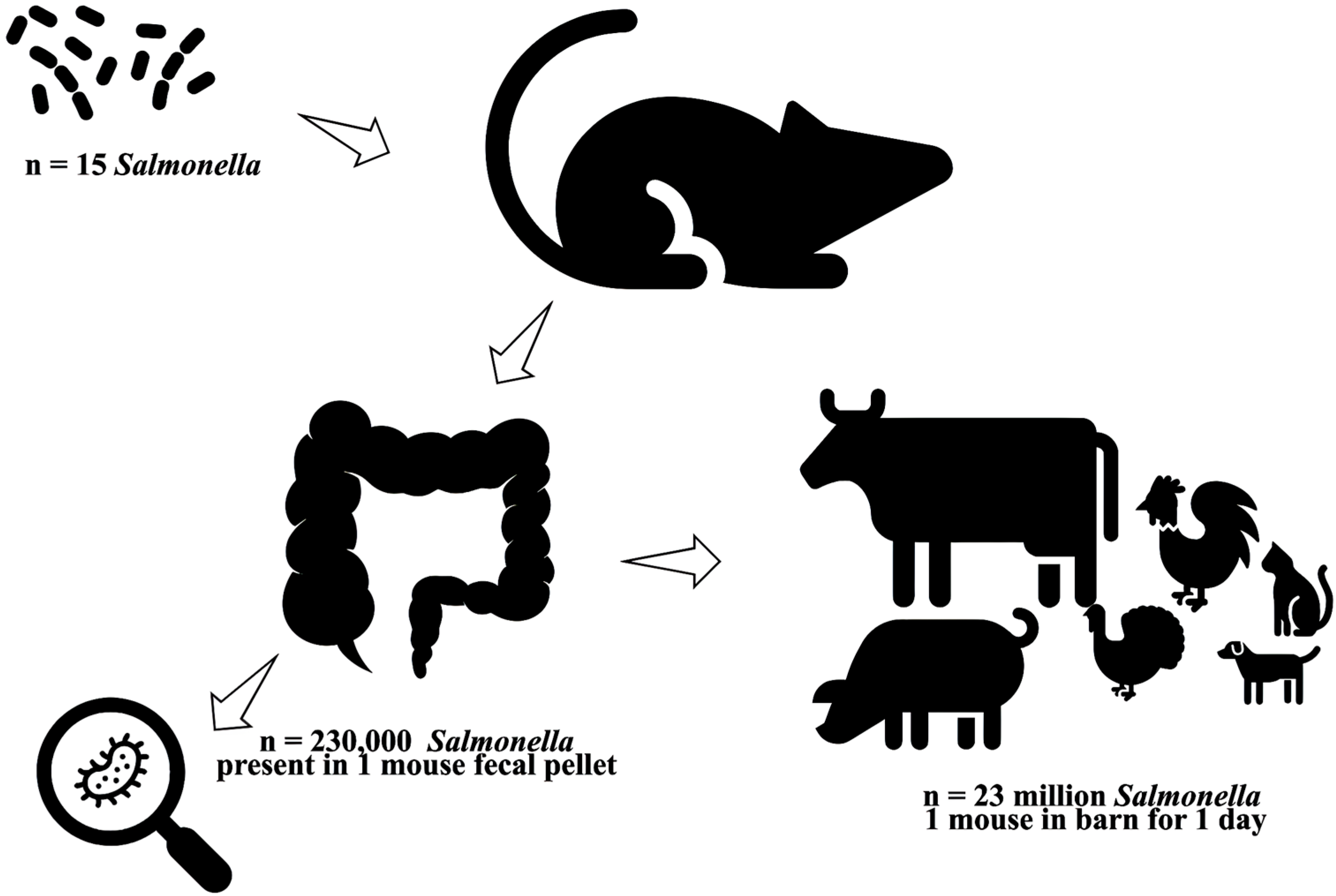 Pathogens 14 00928 g004 Pathogens 14 00928 g004