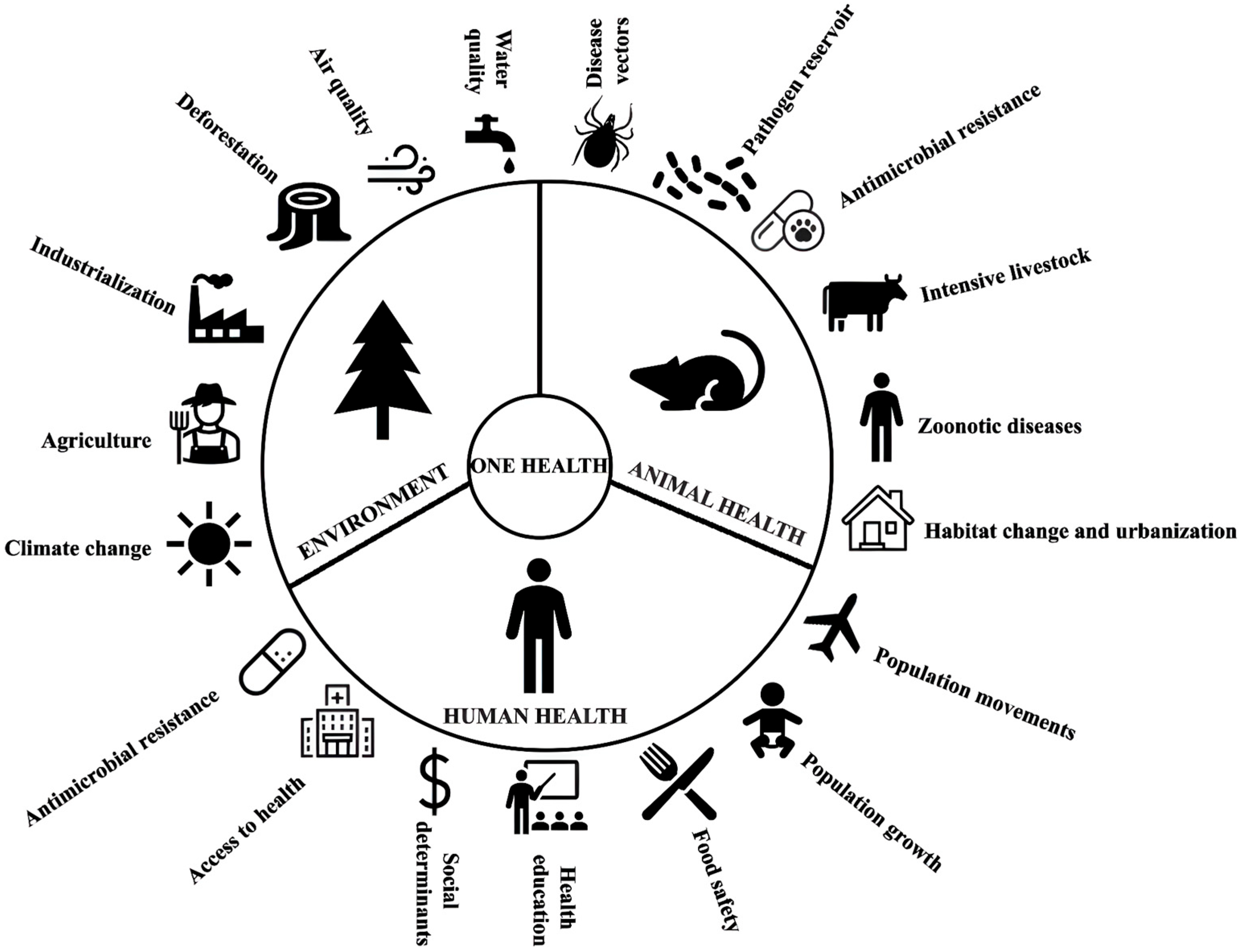 Pathogens 14 00928 g008 Pathogens 14 00928 g008